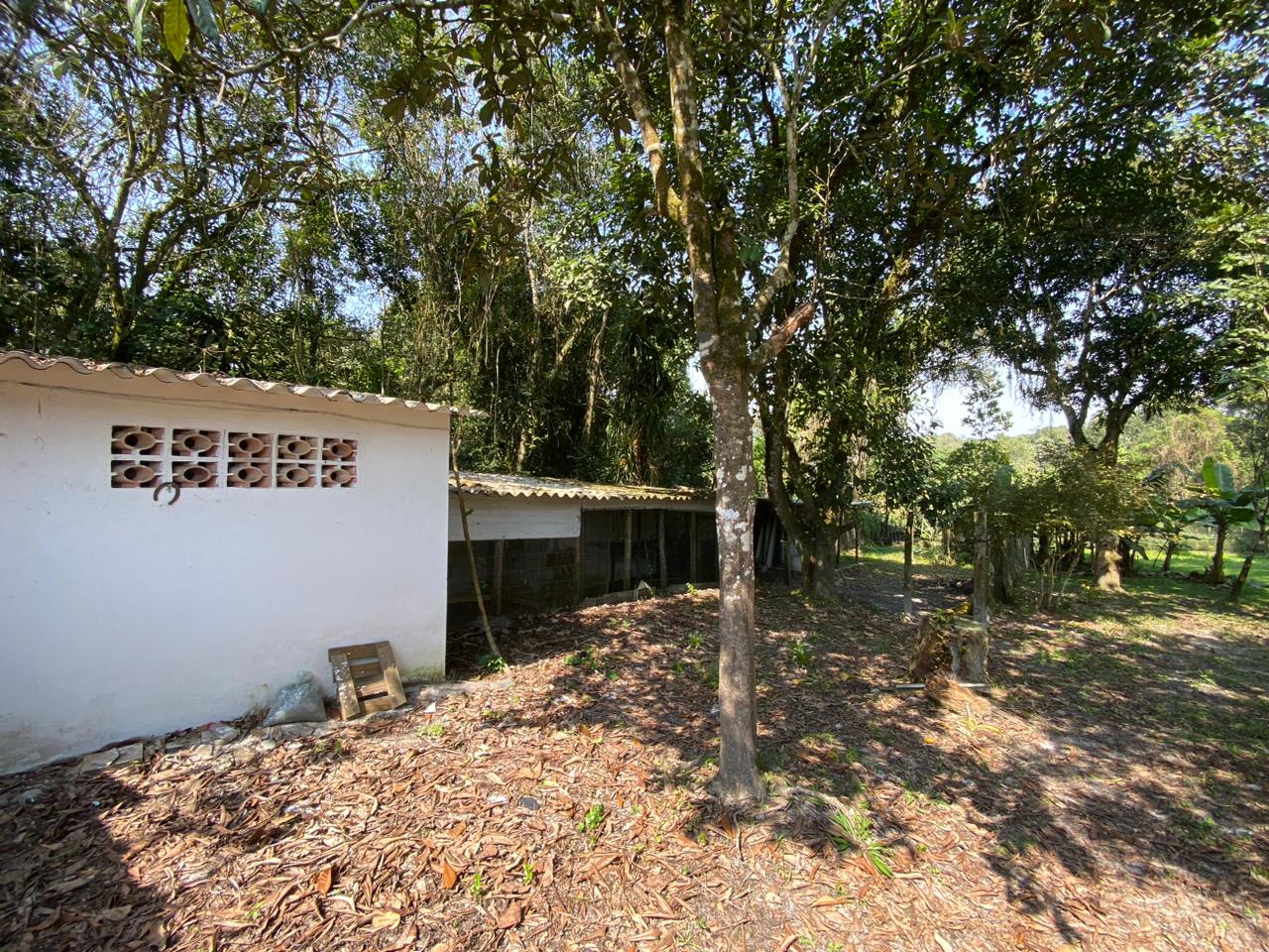 CHÁCARA NO BAIRRO SÃO FERNANDO - ITANHAÉM/SP - LADO SERRA À 100 M DA RODOVIA - foto 18