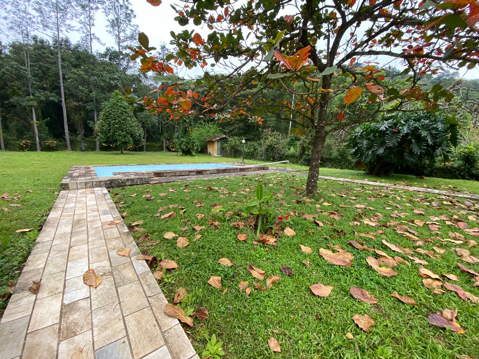 FAZENDA EM ITANHAÉM - ITANHAÉM/SP - 18KM DO ASFALTO - foto 11