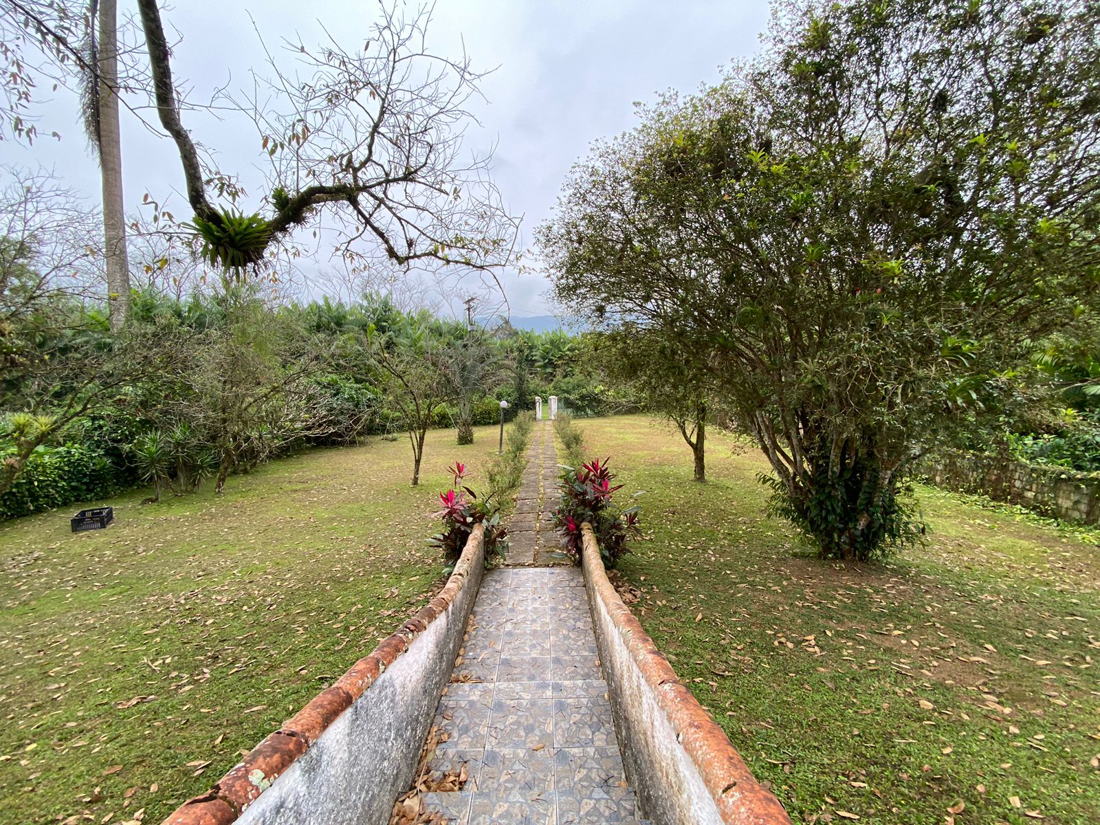 FAZENDA EM ITANHAÉM - ITANHAÉM/SP - 18KM DO ASFALTO - foto 6
