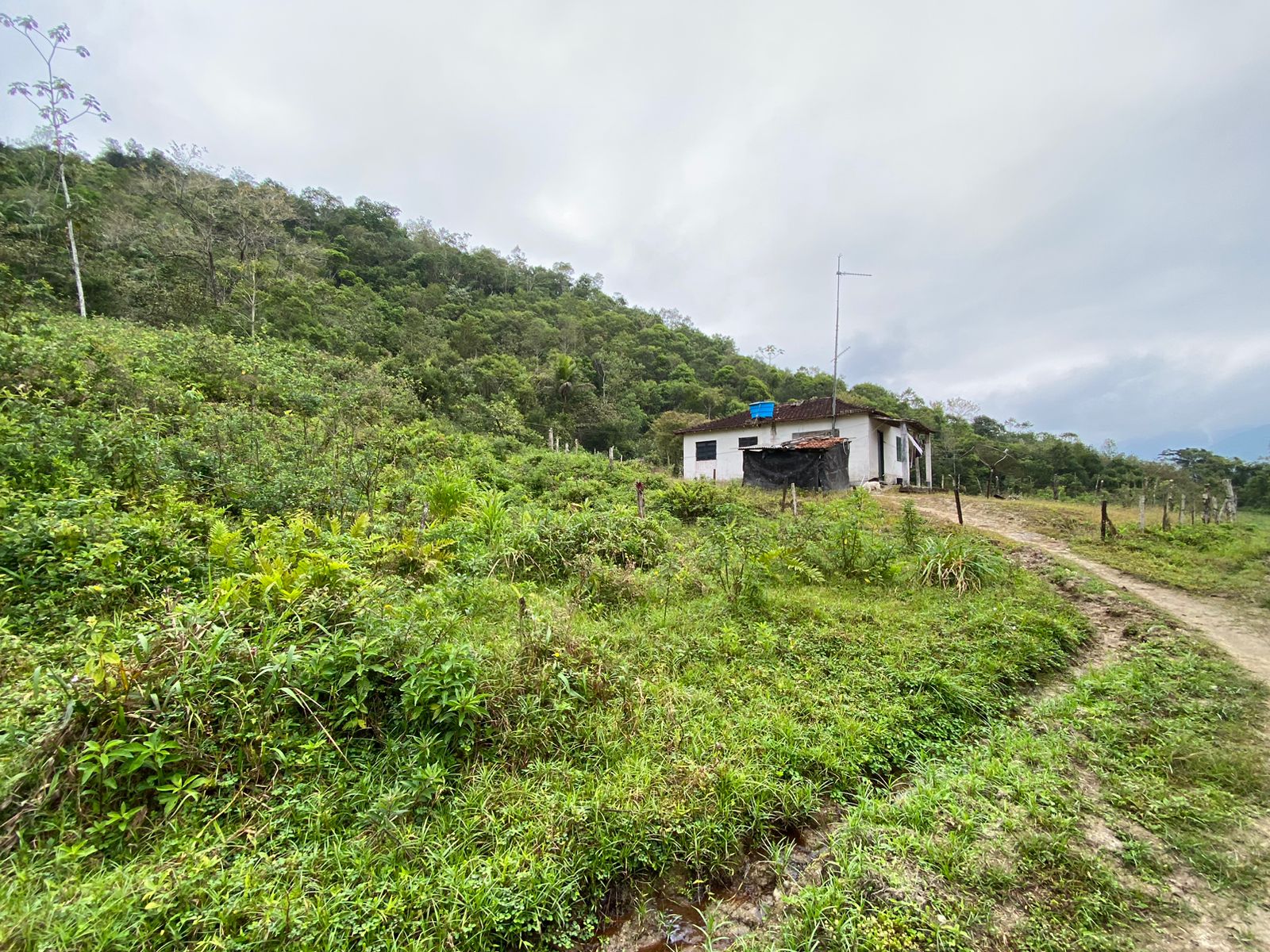 FAZENDA EM ITANHAÉM - ITANHAÉM/SP - 18KM DO ASFALTO - foto 20