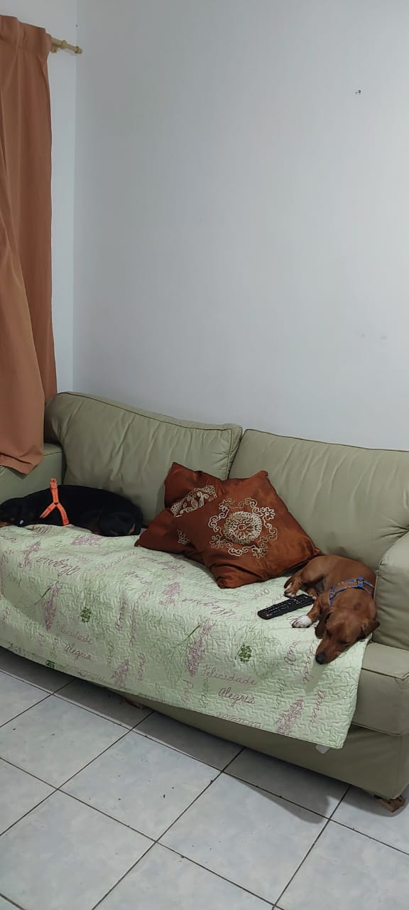 APARTAMENTO NO UMUARAMA - LADO MORRO À 2000 M DA RODOVIA - ITANHAÉM/SP - foto 10