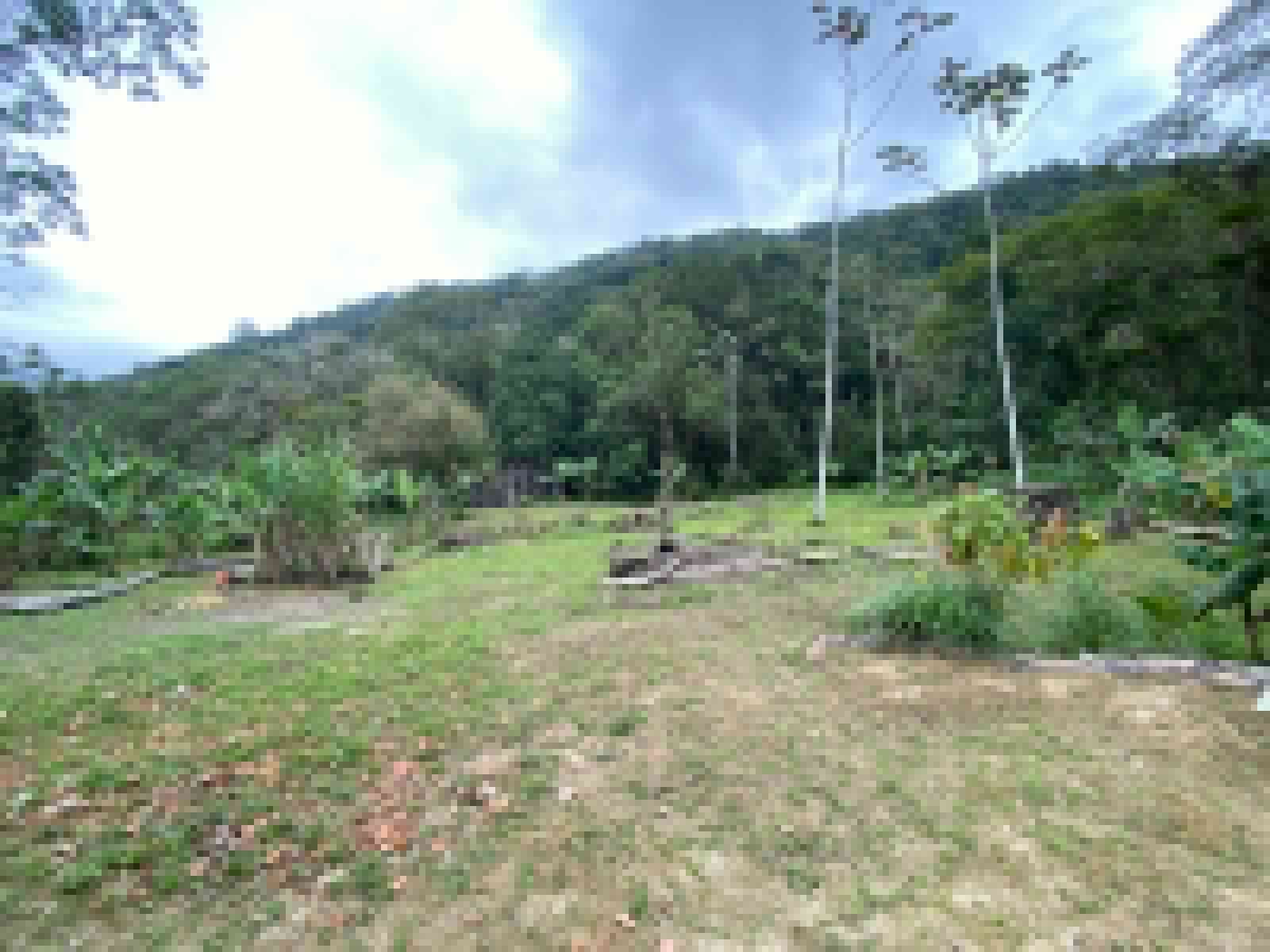 FAZENDA NO BAIRRO MAMBU - LADO MORRO À 4 KM DA RODOVIA - ITANHAÉM/SP - foto 5