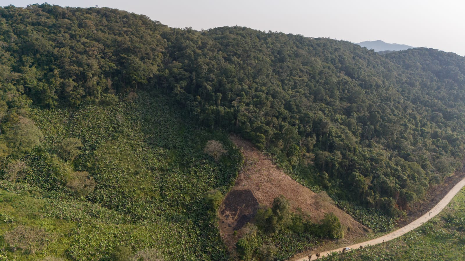 FAZENDA NO BAIRRO MAMBU - LADO MORRO À 4 KM DA RODOVIA - ITANHAÉM/SP - foto 14