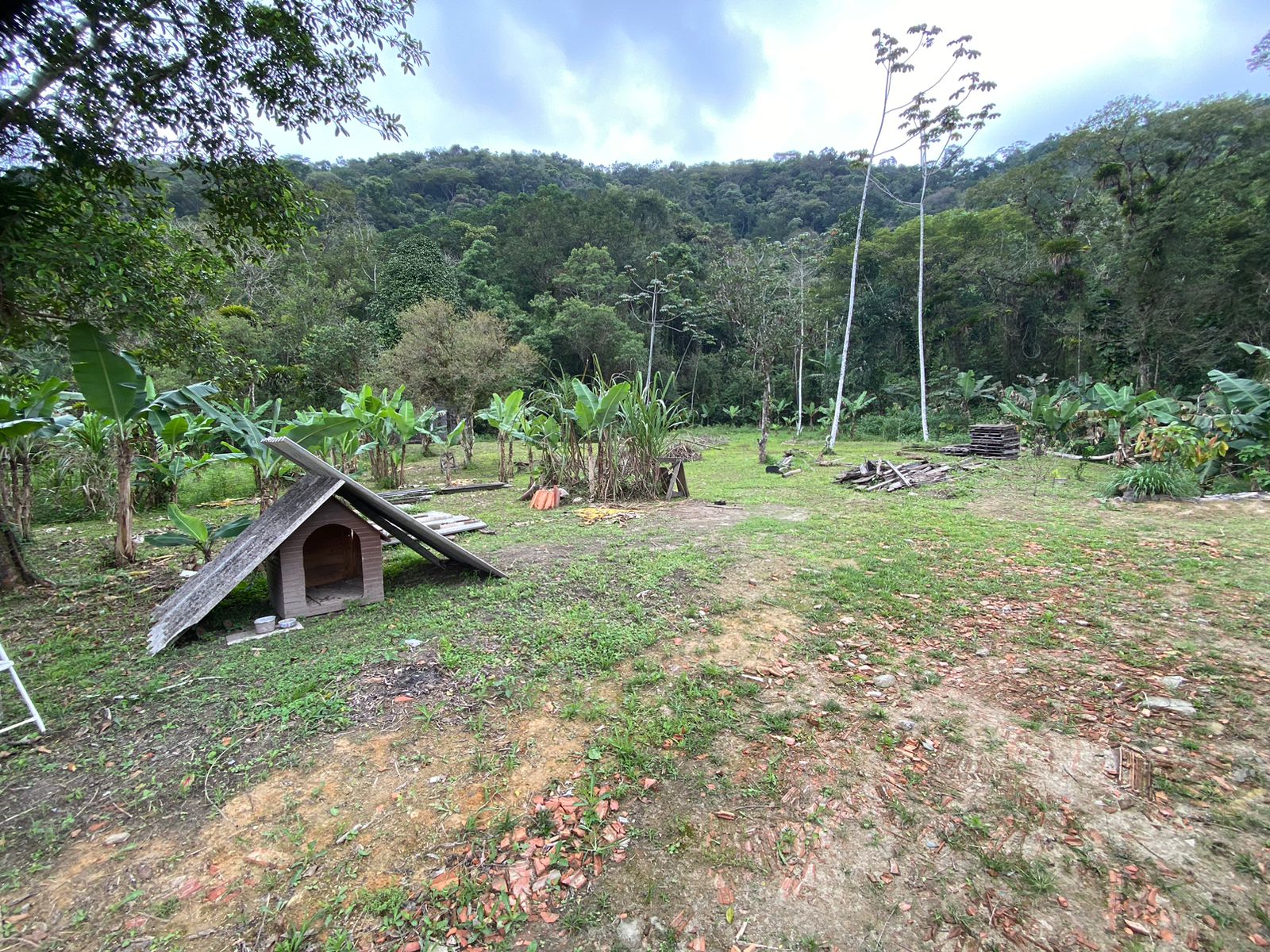 FAZENDA NO BAIRRO MAMBU - LADO MORRO À 4 KM DA RODOVIA - ITANHAÉM/SP - foto 3