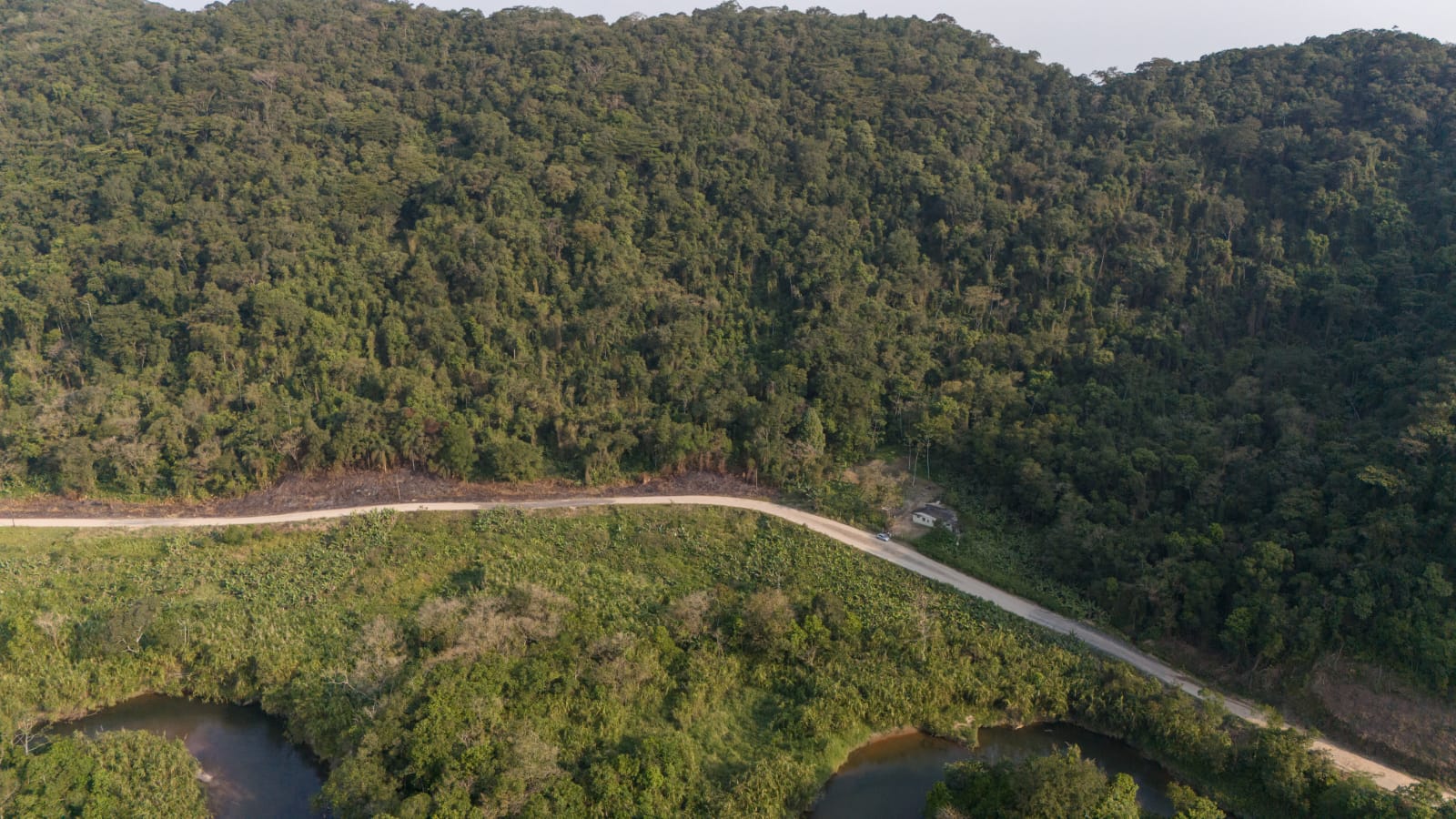 FAZENDA NO BAIRRO MAMBU - LADO MORRO À 4 KM DA RODOVIA - ITANHAÉM/SP - foto 16