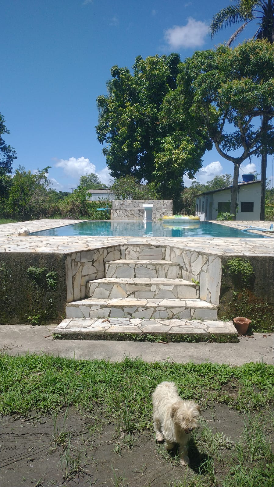 CHÁCARA COM PISCINA - LADO MORRO 4KM DA PRAIA - PERUÍBE/SP - foto 6