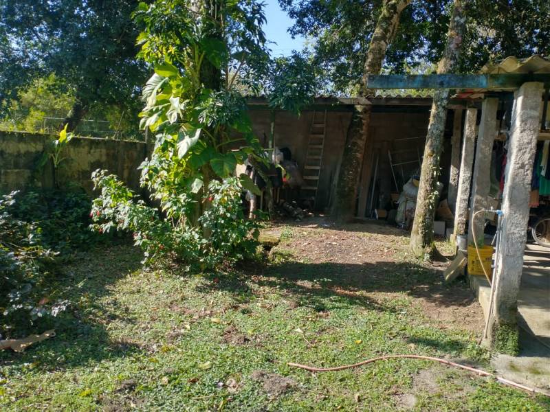 CHÁCARA NO BAIRRO GLÓRIA - LADO MORRO À 2KM DA RODOVIA - ITANHAÉM/SP - foto 8