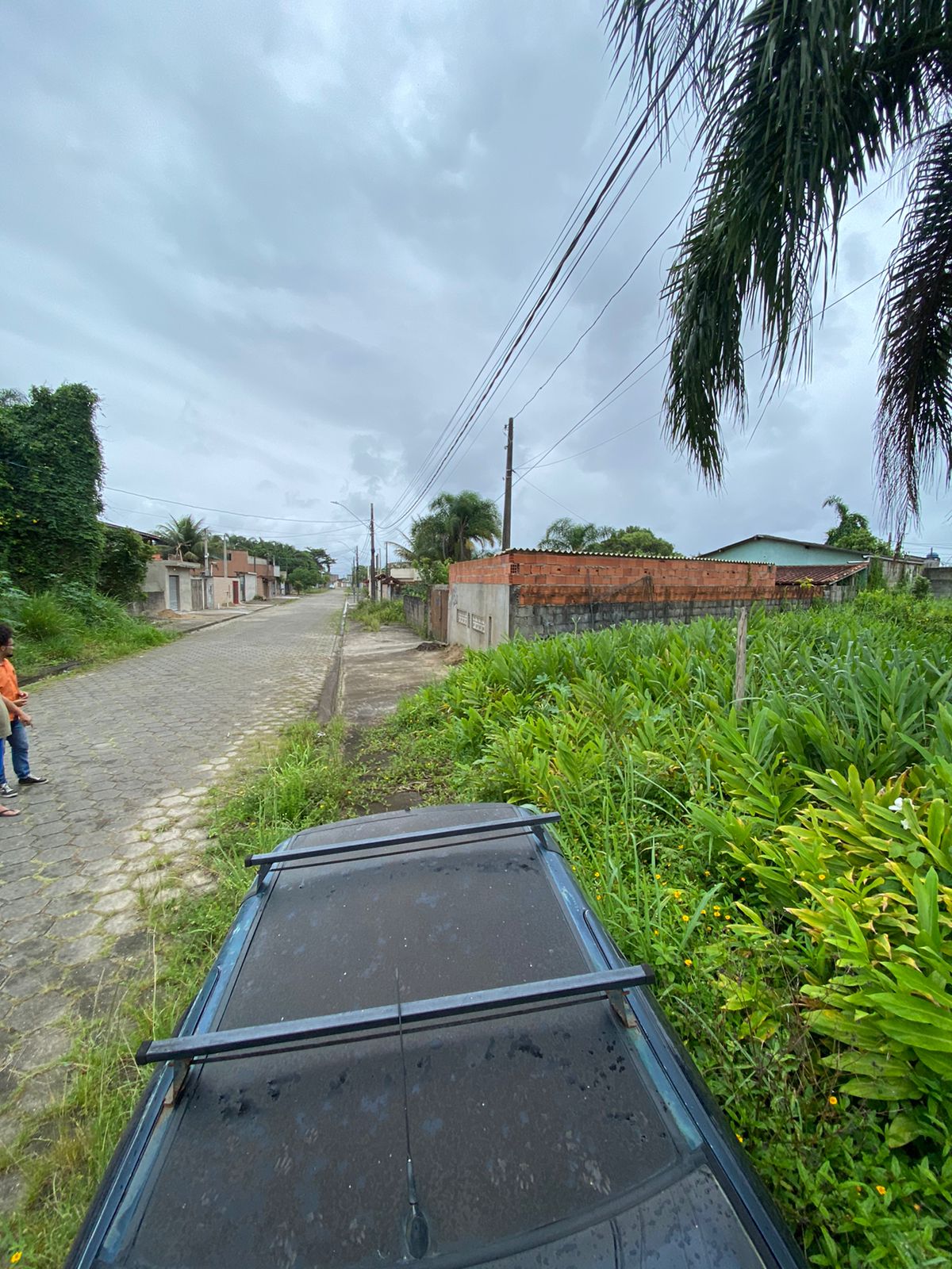 TERRENO DO JARDIM DAS PALMEIRAS - LADO PRAIA À 1000 METROS DO MAR - ITANHAÉM/SP - foto 4