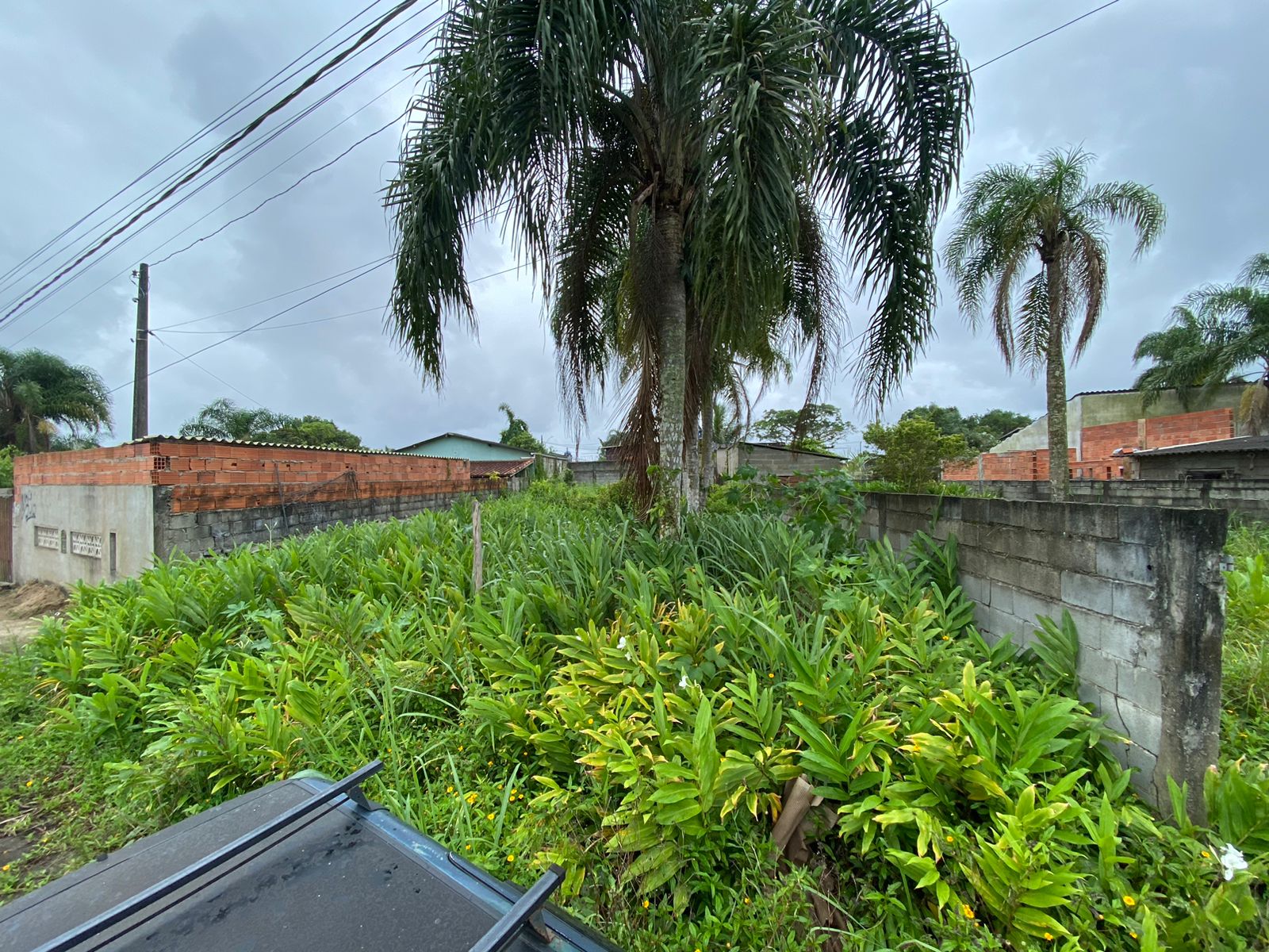 TERRENO DO JARDIM DAS PALMEIRAS - LADO PRAIA À 1000 METROS DO MAR - ITANHAÉM/SP - foto 3