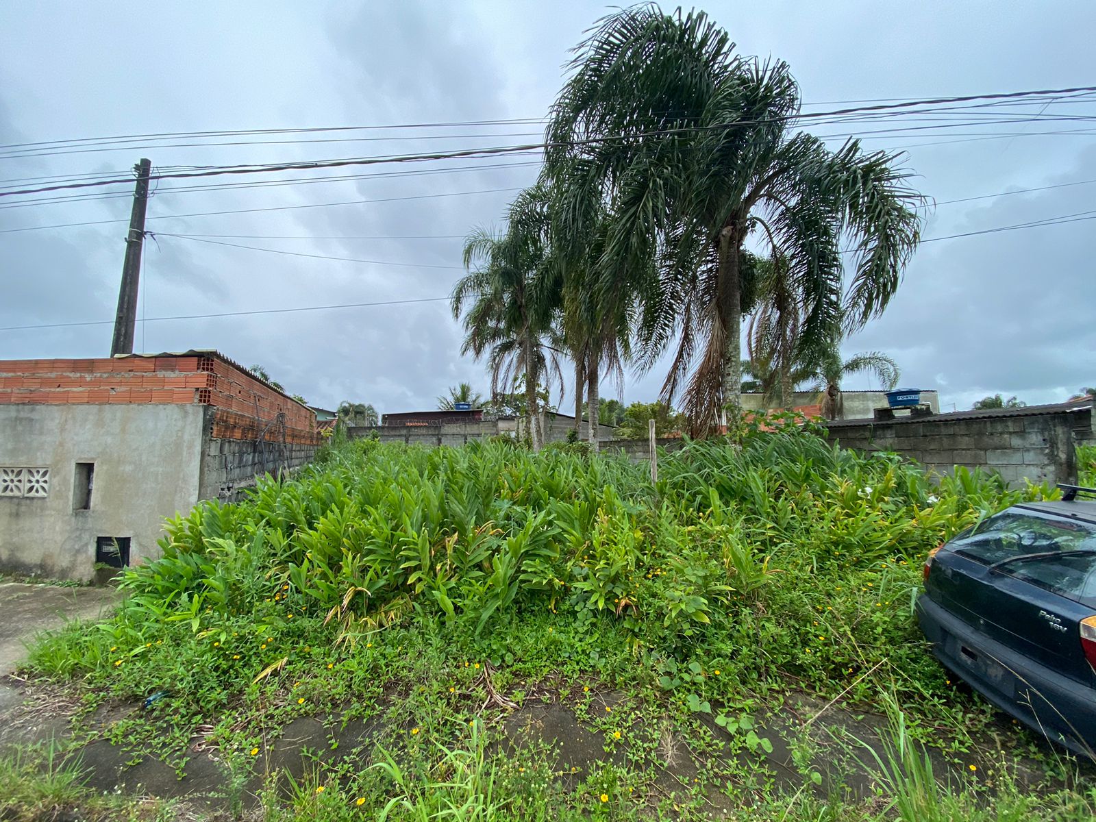 TERRENO DO JARDIM DAS PALMEIRAS - LADO PRAIA À 1000 METROS DO MAR - ITANHAÉM/SP - foto 6