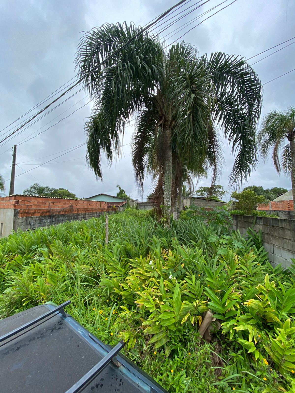 TERRENO DO JARDIM DAS PALMEIRAS - LADO PRAIA À 1000 METROS DO MAR - ITANHAÉM/SP - foto 2