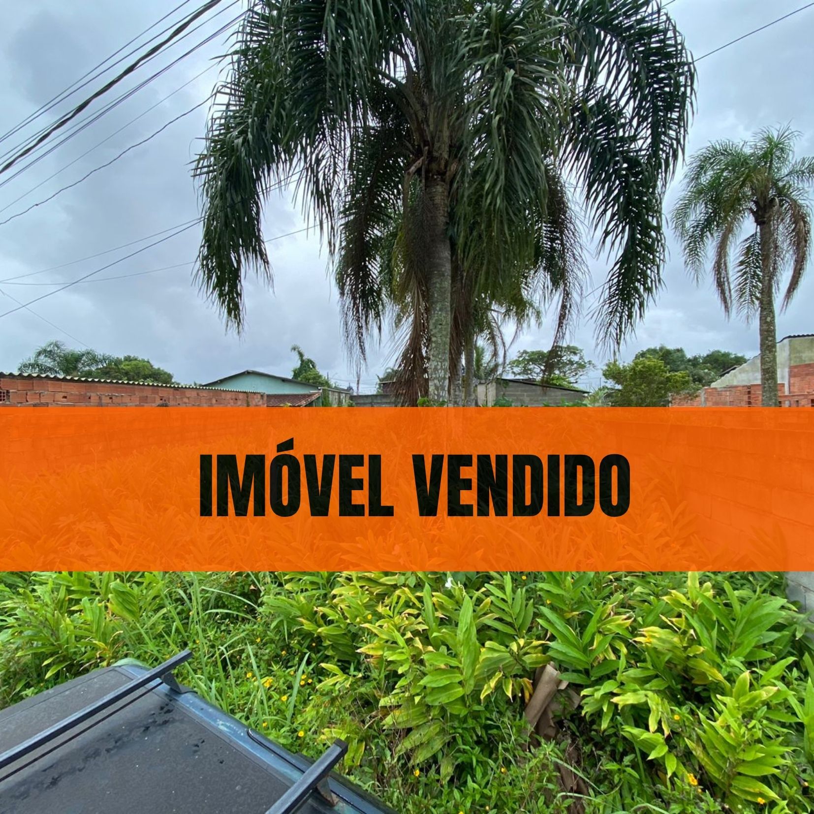 TERRENO DO JARDIM DAS PALMEIRAS - LADO PRAIA À 1000 METROS DO MAR - ITANHAÉM/SP