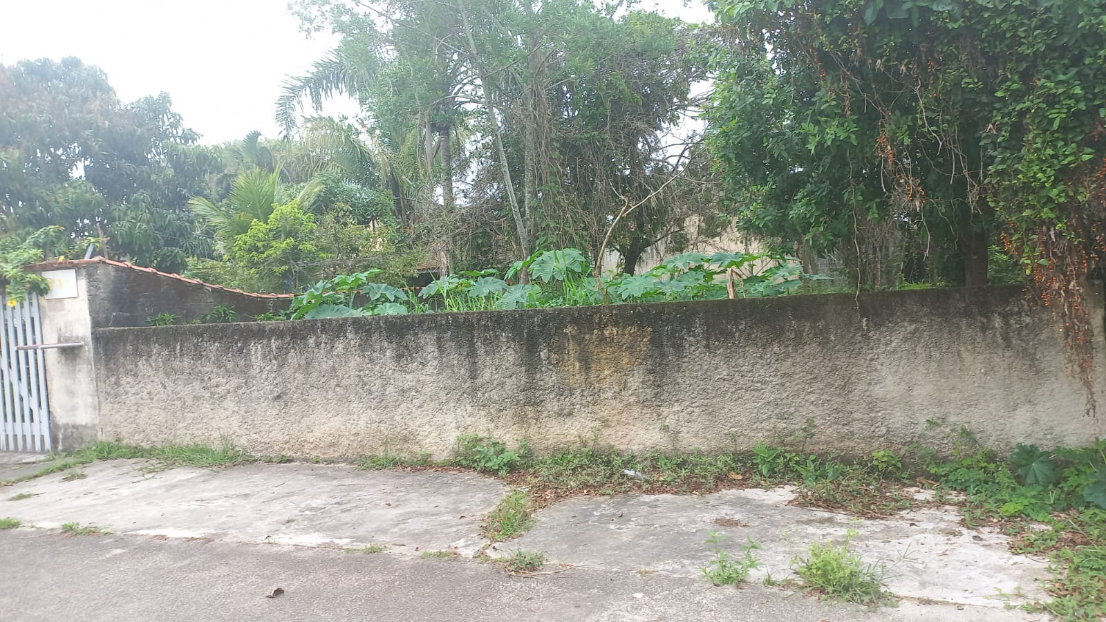 TERRENO LADO PRAIA - ITANHAÉM/SP -  LUIZAMAR ( 800 M DO MAR ) - foto 4
