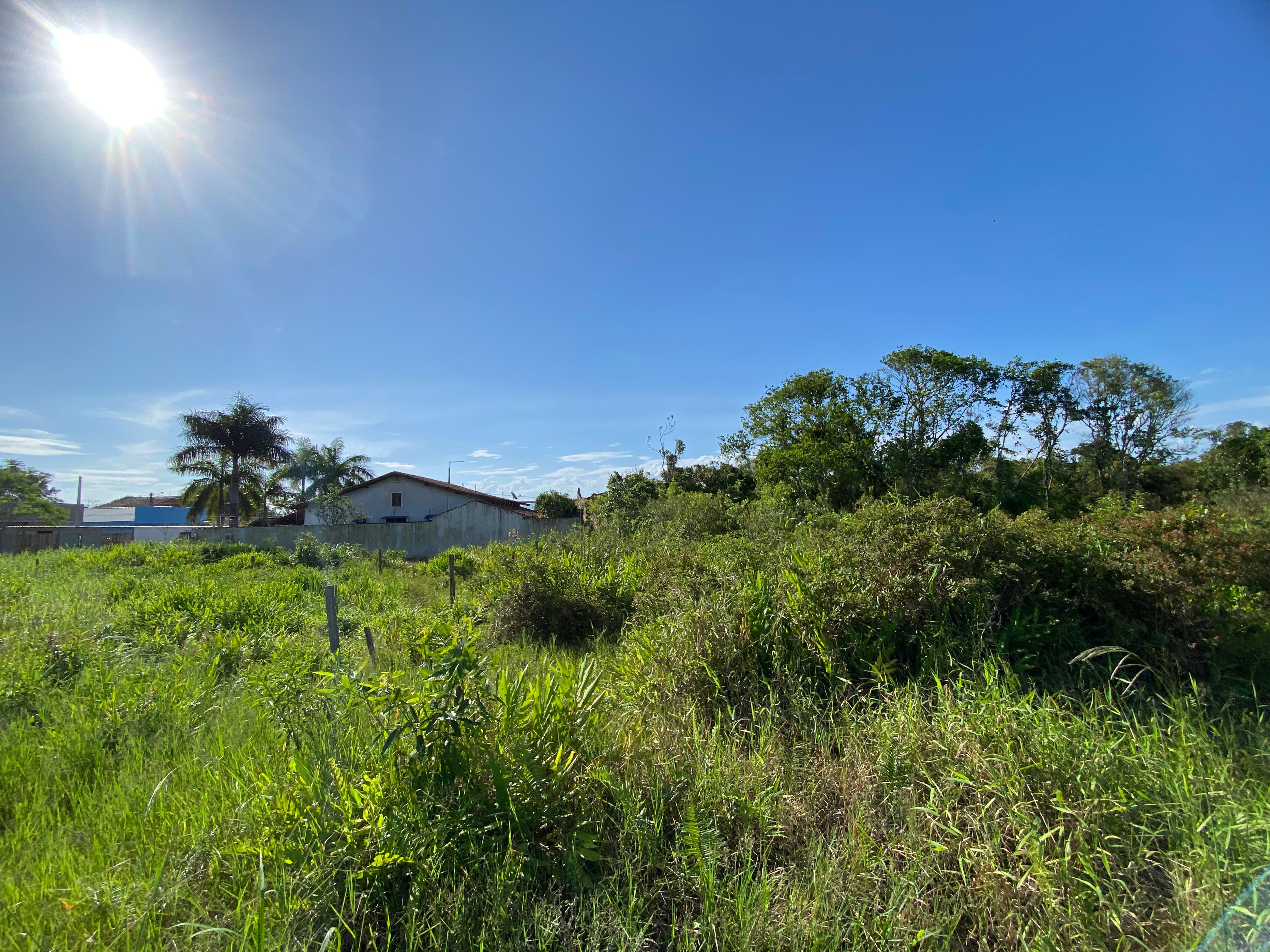 TERRENO NO LUIZAMAR - LADO MORRO À 250 M DA RODOVIA - ITANHAÉM/SP - foto 3