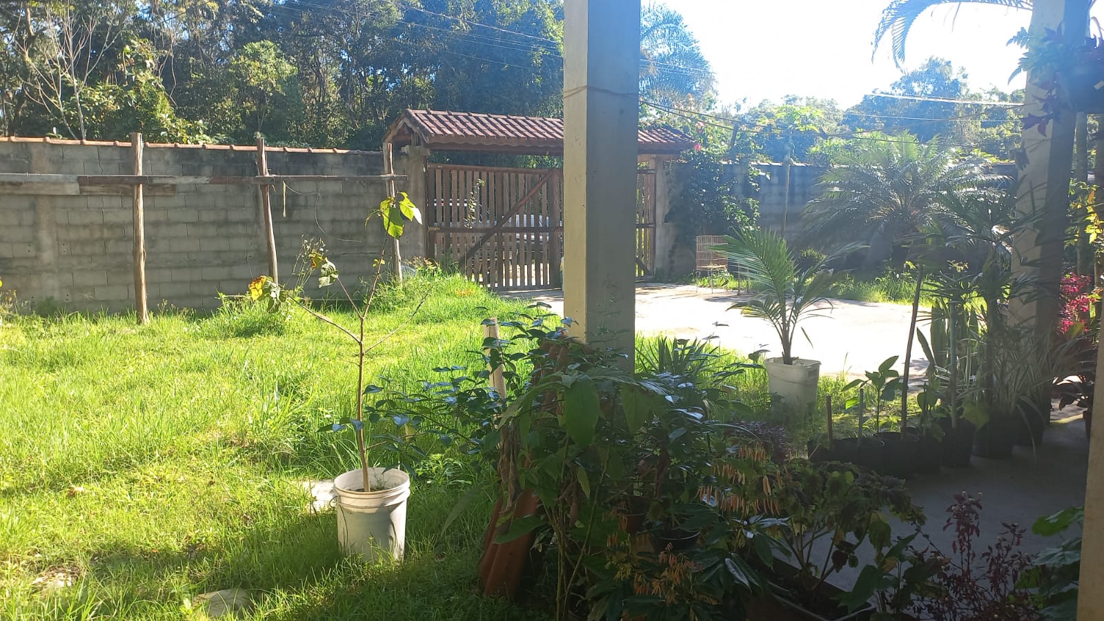 CHÁCARA EM EXCELENTE LOCALIZAÇÃO - ITANHAÉM/SP - 2200 M DA PRAIA  - foto 8