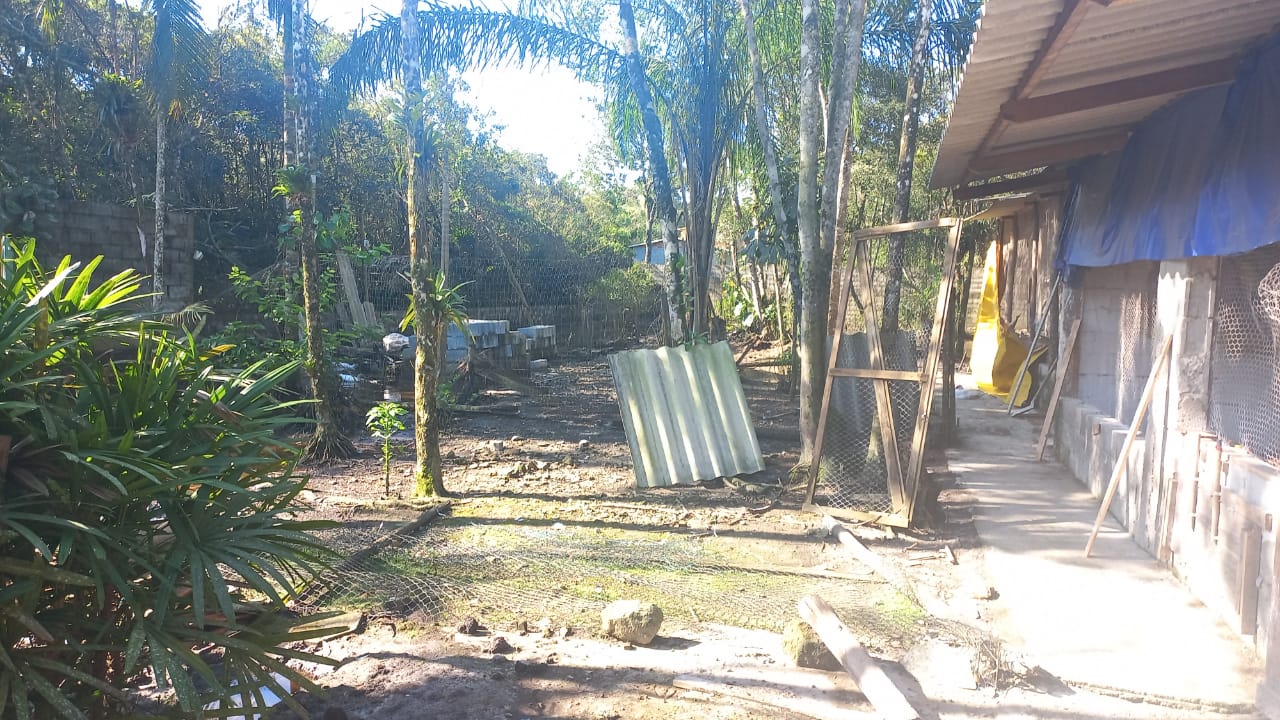 CHÁCARA EM EXCELENTE LOCALIZAÇÃO - ITANHAÉM/SP - 2200 M DA PRAIA  - foto 14