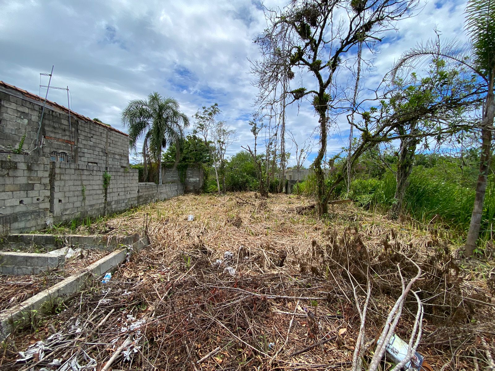 TERRENO NO LUIZAMAR MIRIM - LADO MORRO À 550 METROS DA RODOVIA - ITANHAÉM/SP - foto 2