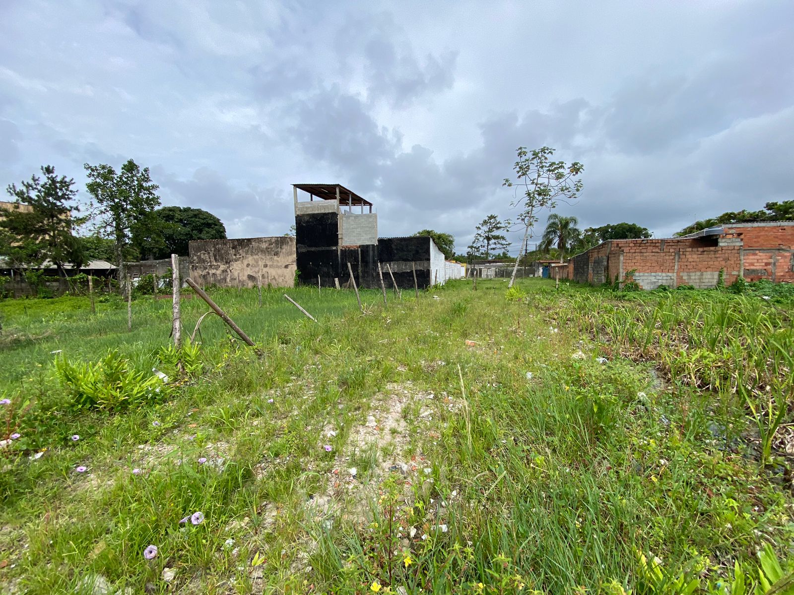 TERRENO JARDIM DAS PALMEIRAS - LADO MORRO À 200 METROS DA RODOVIA - ITANHAÉM/SP