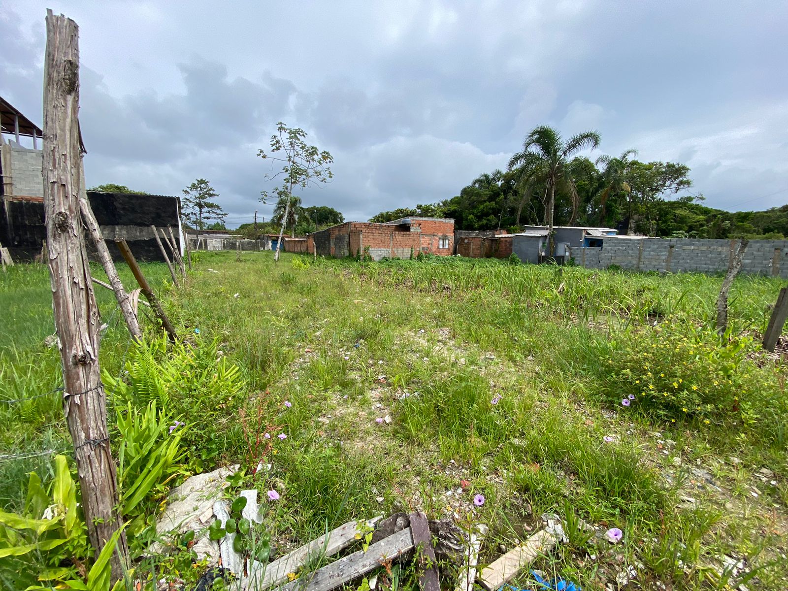TERRENO JARDIM DAS PALMEIRAS - LADO MORRO À 200 METROS DA RODOVIA - ITANHAÉM/SP - foto 4