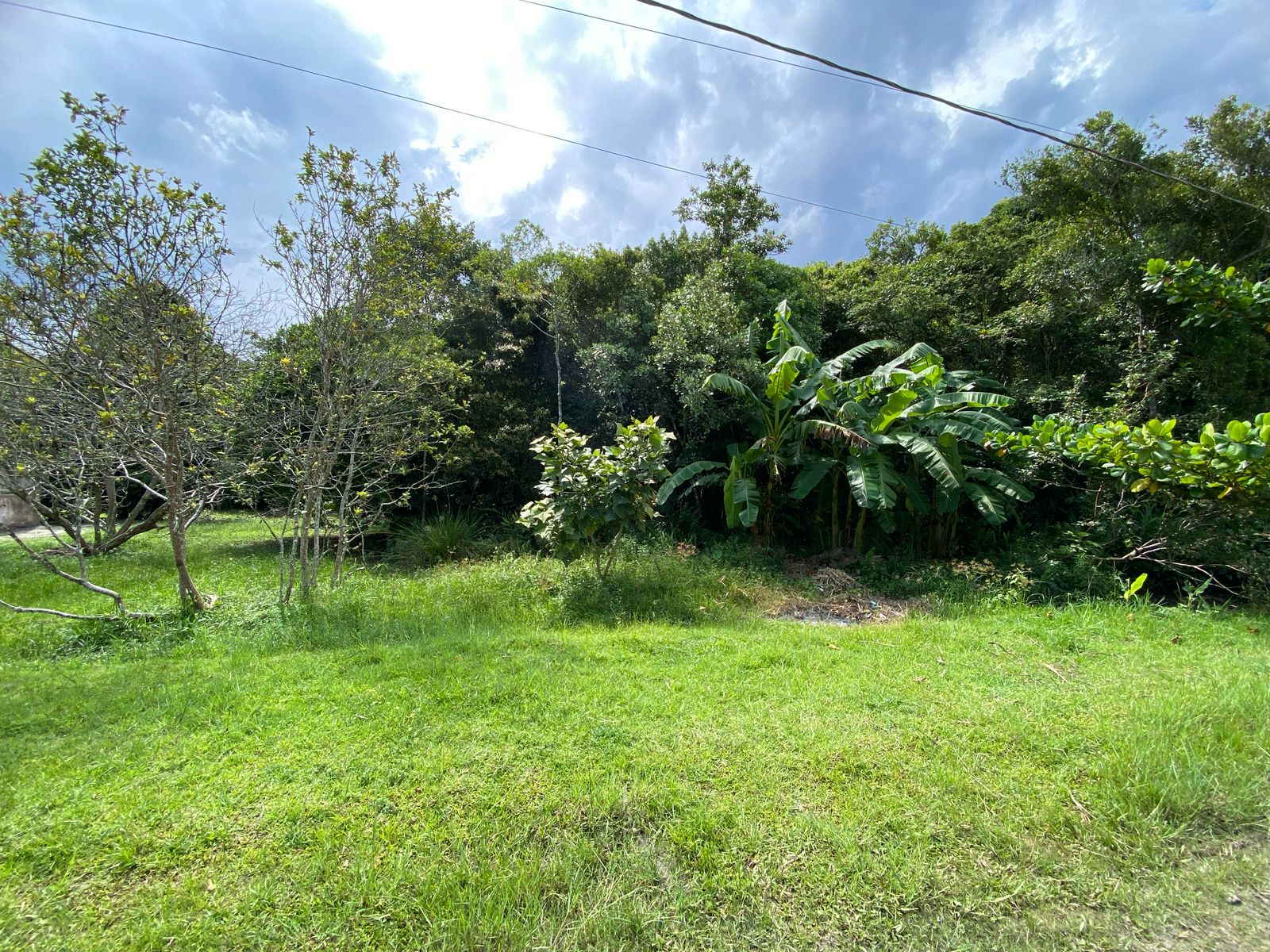 TERRENO NO BAIRRO MARAMBÁ 2 - LADO MORRO À 600 METROS DA RODOVIA - ITANHAÉM/SP - foto 6