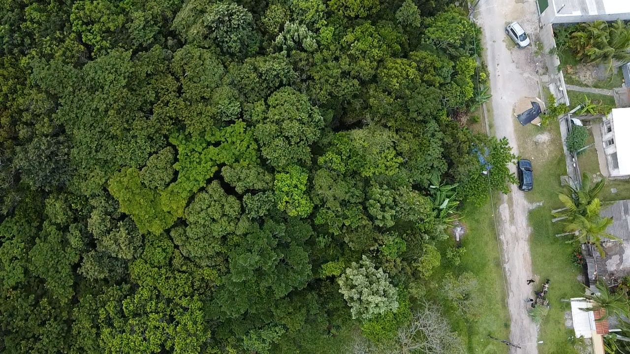 TERRENO NO BAIRRO MARAMBÁ 2 - LADO MORRO À 600 METROS DA RODOVIA - ITANHAÉM/SP - foto 10