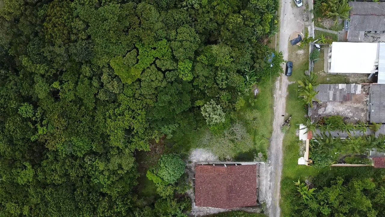 TERRENO NO BAIRRO MARAMBÁ 2 - LADO MORRO À 600 METROS DA RODOVIA - ITANHAÉM/SP - foto 11
