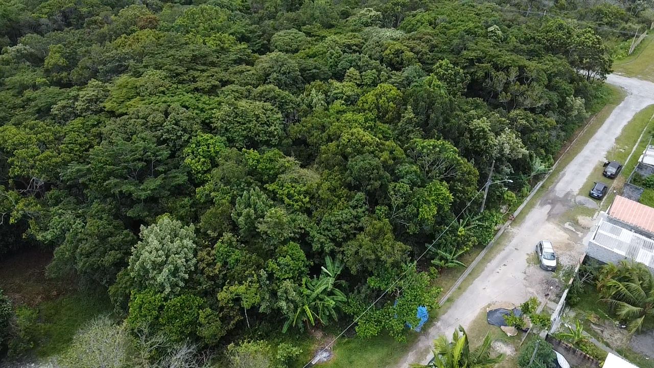 TERRENO NO BAIRRO MARAMBÁ 2 - LADO MORRO À 600 METROS DA RODOVIA - ITANHAÉM/SP - foto 12