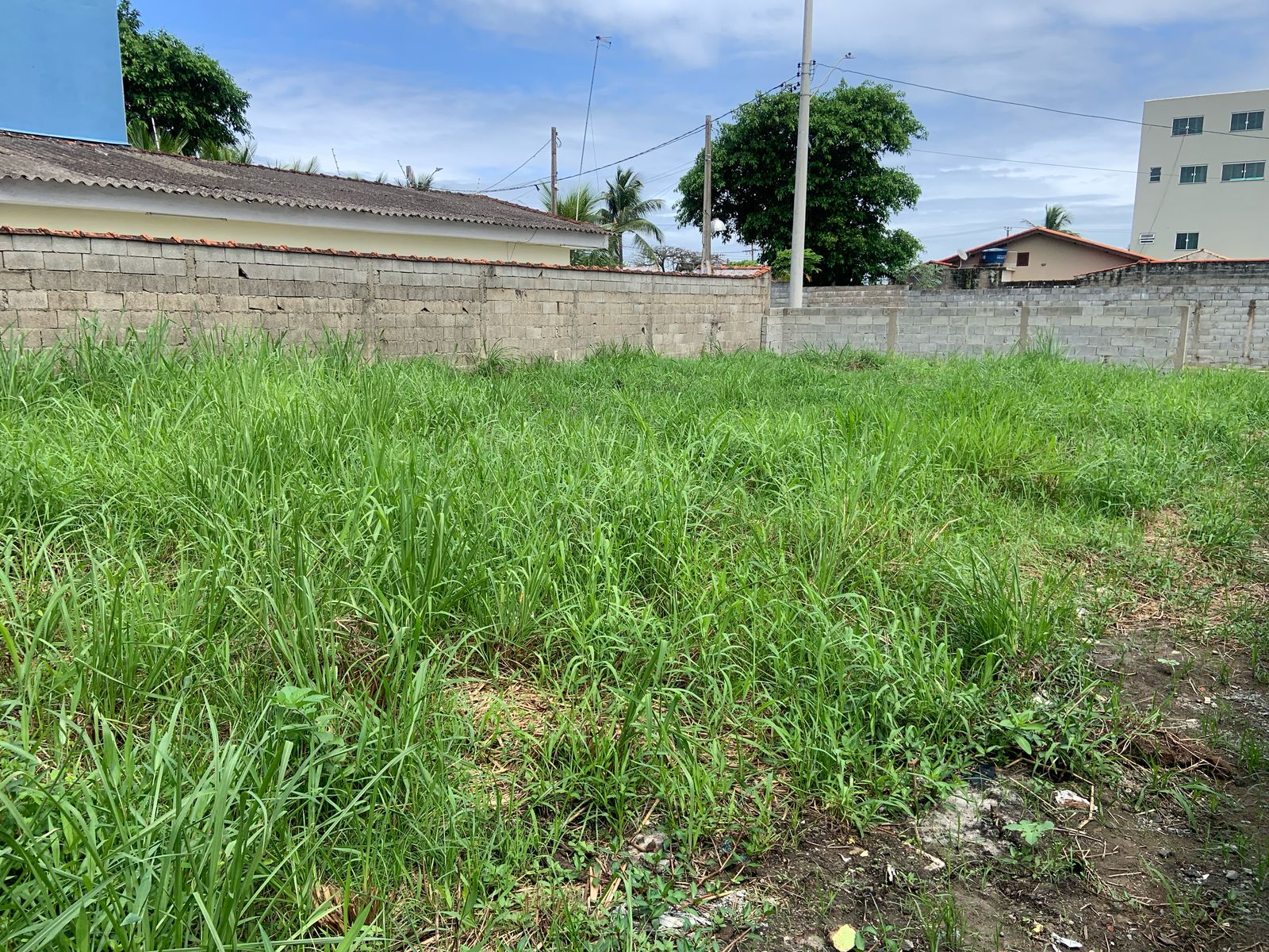 TERRENO NO BAIRRO SÃO PEDRO - ITANHAÉM / SP - LADO PRAIA - 1.600 METROS DO MAR - foto 8