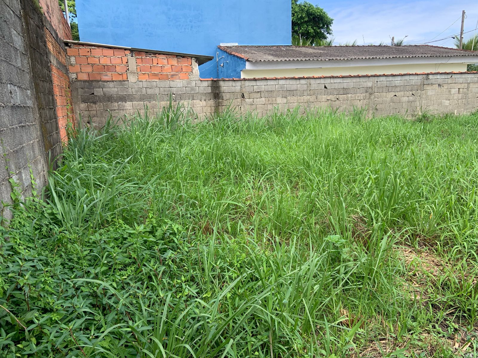 TERRENO NO BAIRRO SÃO PEDRO - ITANHAÉM / SP - LADO PRAIA - 1.600 METROS DO MAR - foto 9
