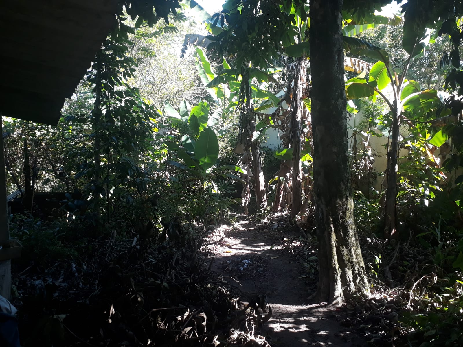CHÁCARA EM ÓTIMO LOCALIZAÇÃO - ITANHAÉM/SP - PARQUE SERRA MAR  - foto 9