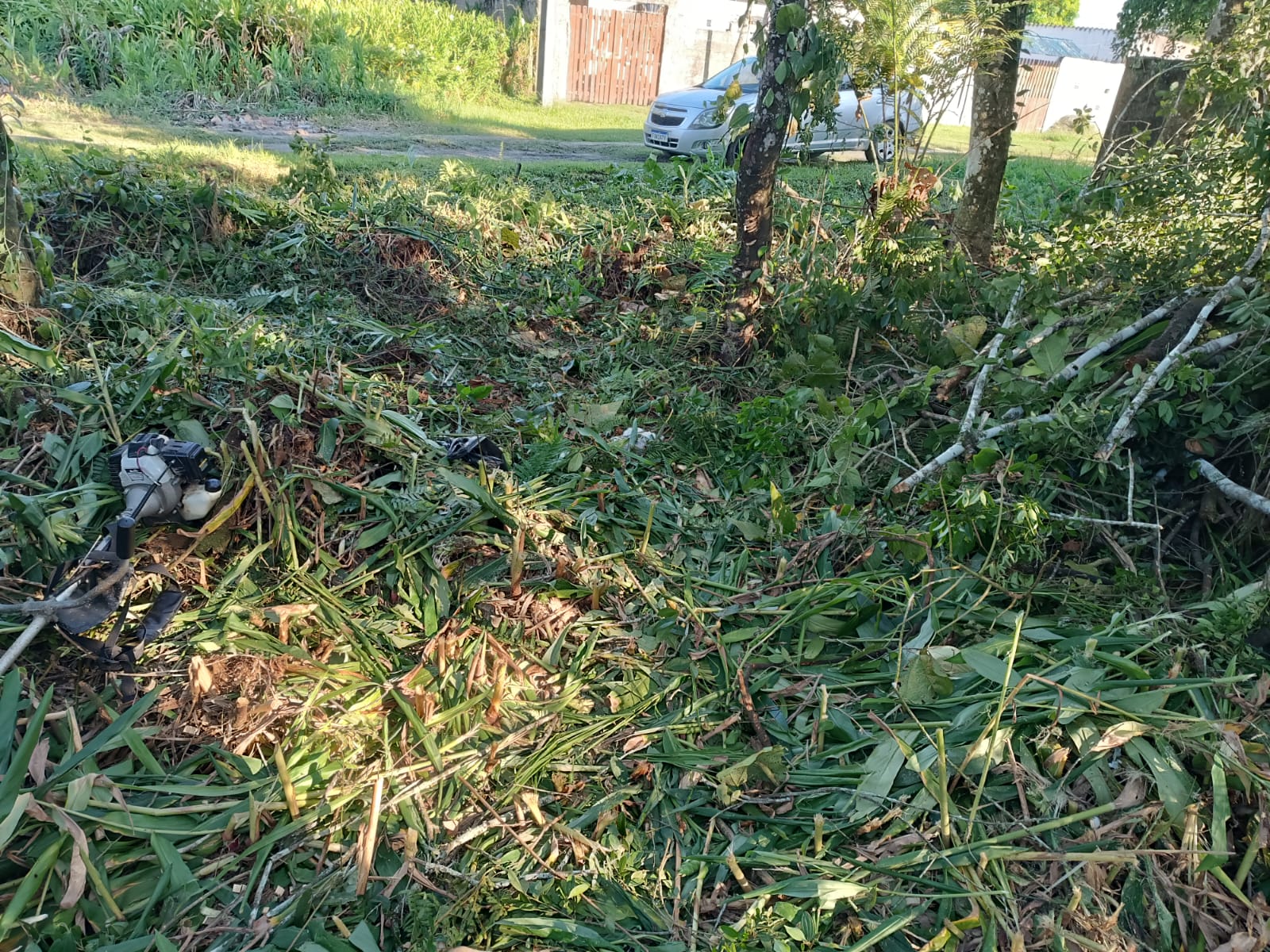 TERRENO NO BALNEÁRIO GAIVOTA - ITANHAÉM /SP - LADO MORRO - 700 METROS DA RODOVIA - foto 4