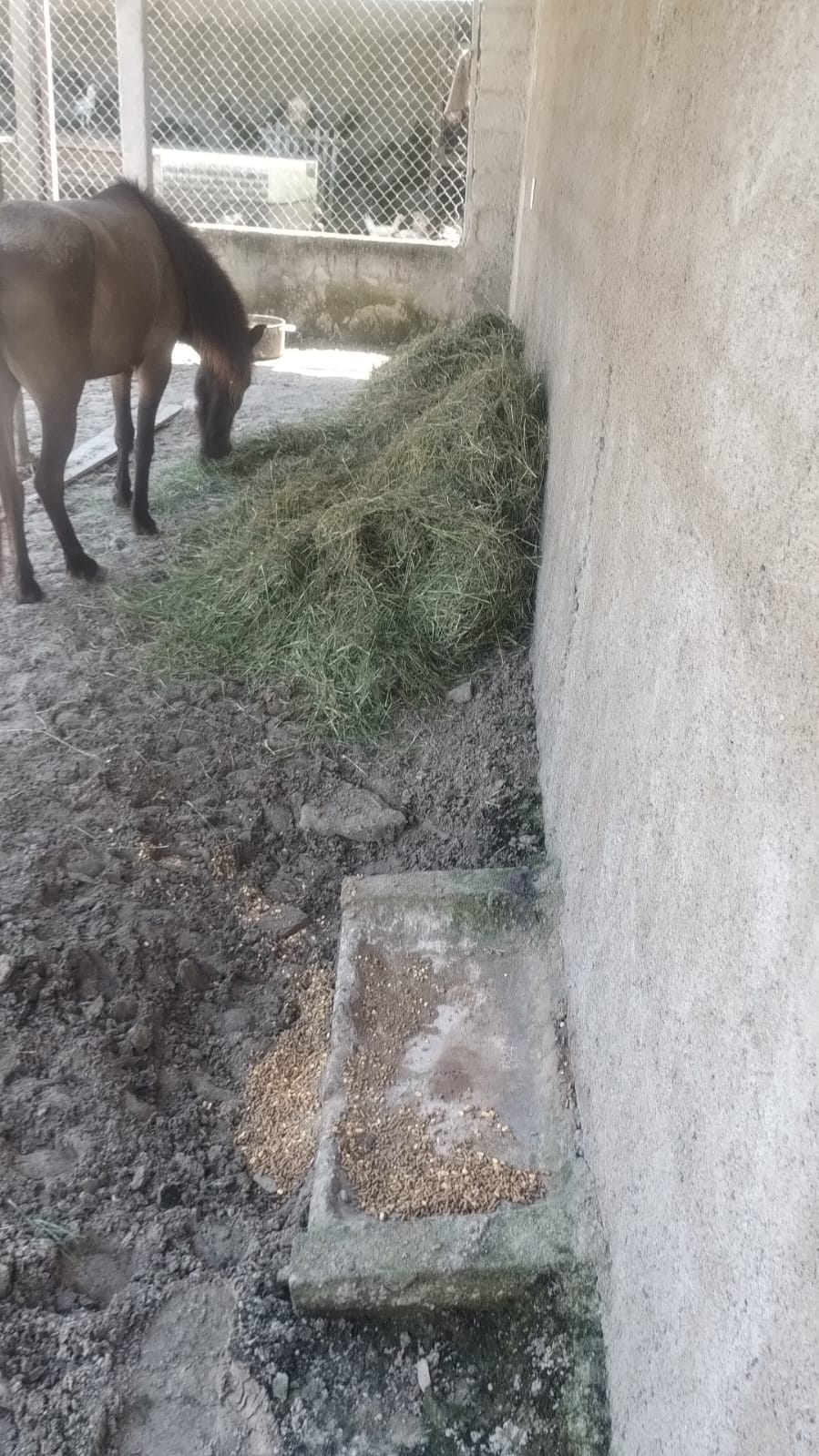 CHÁCARA EM AGENOR DE CAMPOS - EM MONGAGUÁ - SP / LADO MORRO. - foto 4