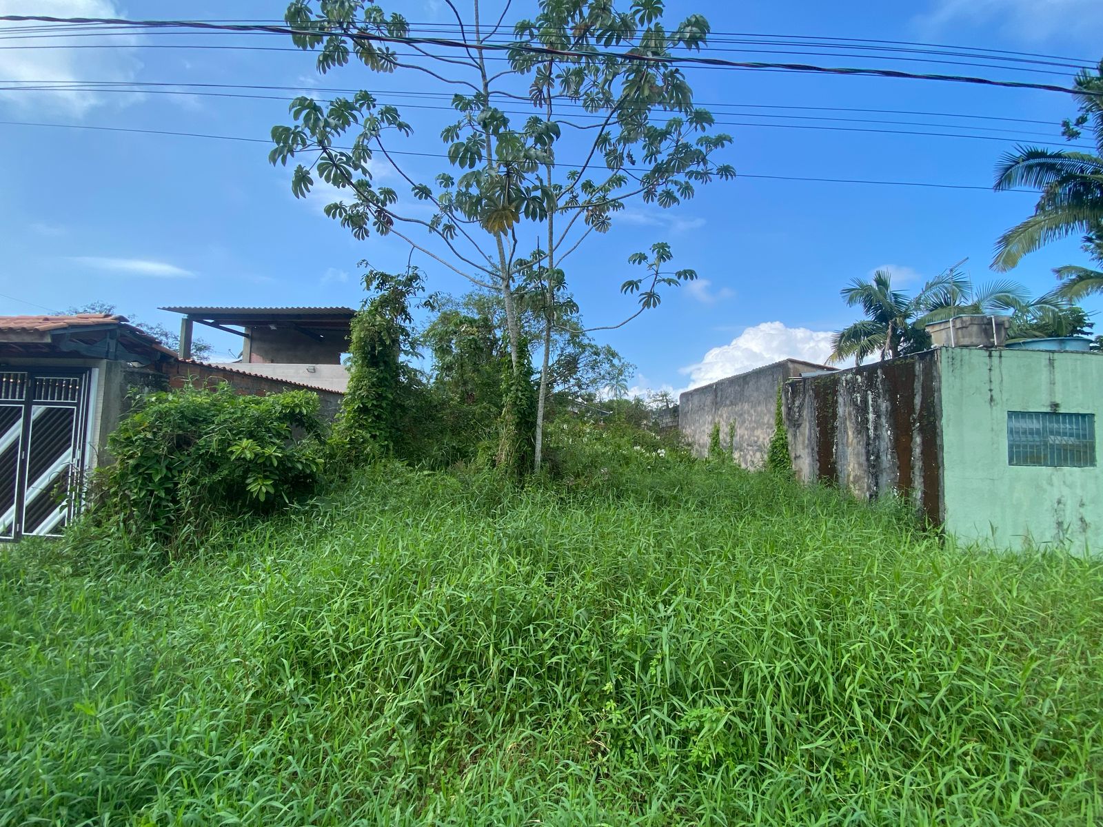 TERRENO NO BAIRRO LUIZAMAR MIRIM - ITANHAÉM/SP - LADO MORRO - 550 METROS DA PISTA.