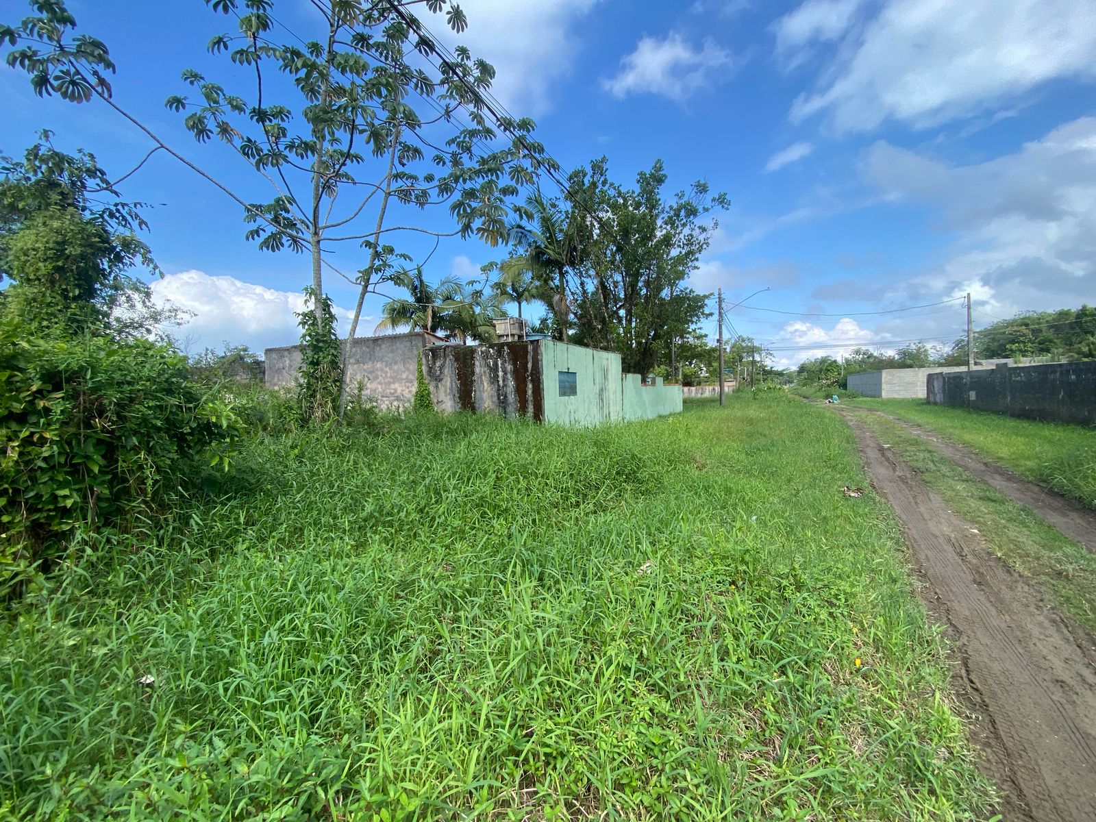 TERRENO NO BAIRRO LUIZAMAR MIRIM - ITANHAÉM/SP - LADO MORRO - 550 METROS DA PISTA. - foto 2