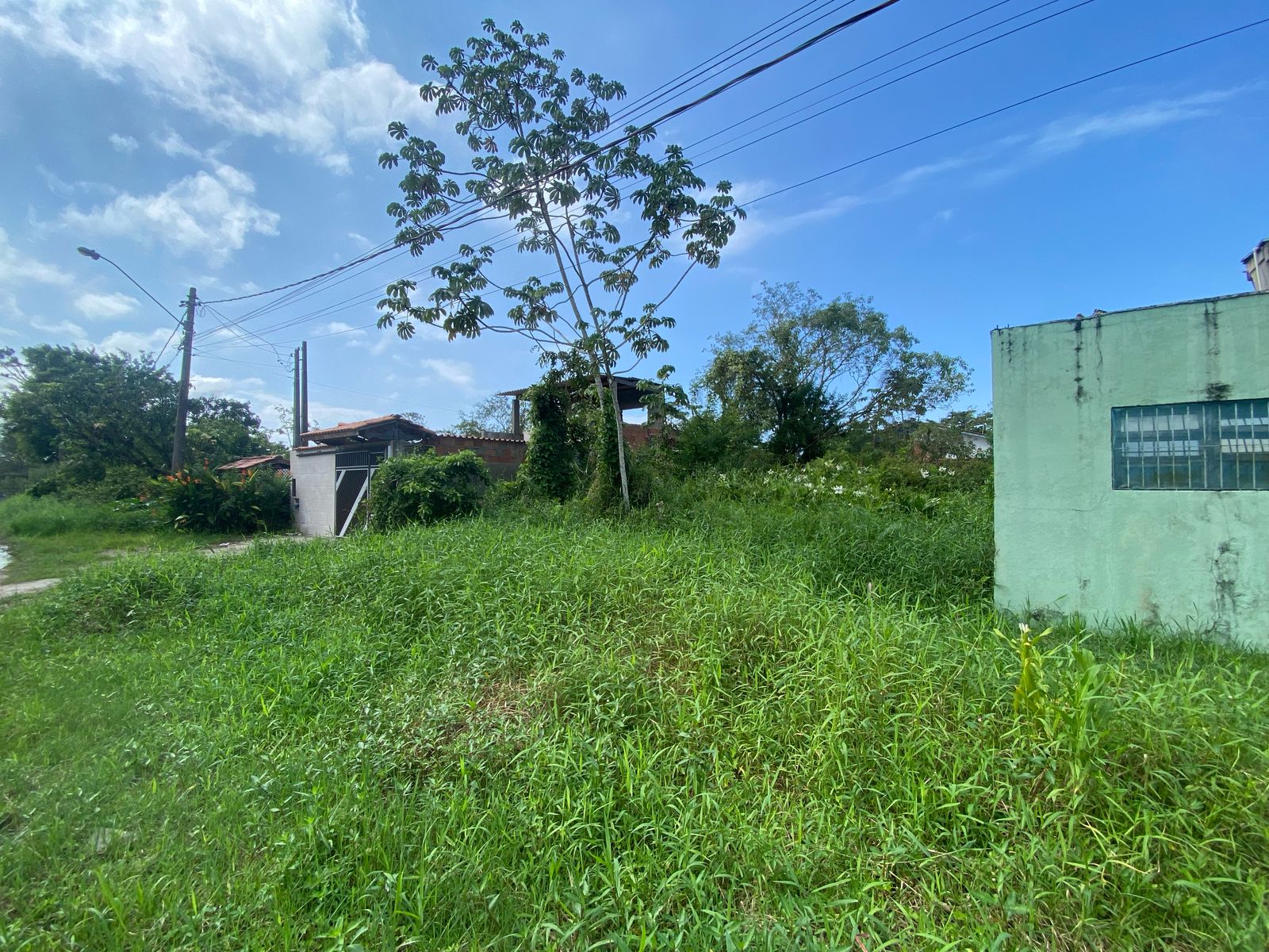 TERRENO NO BAIRRO LUIZAMAR MIRIM - ITANHAÉM/SP - LADO MORRO - 550 METROS DA PISTA. - foto 3