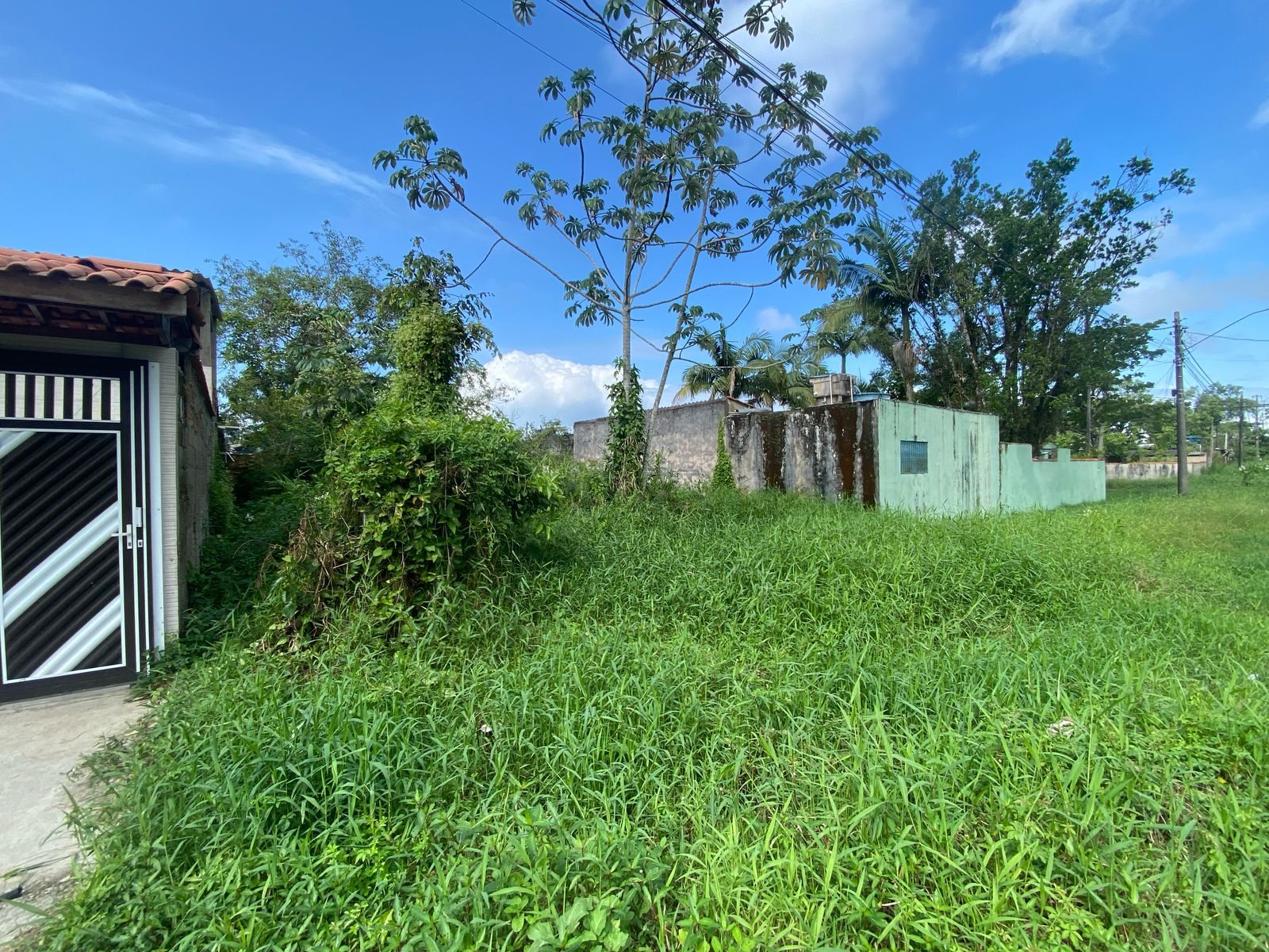 TERRENO NO BAIRRO LUIZAMAR MIRIM - ITANHAÉM/SP - LADO MORRO - 550 METROS DA PISTA. - foto 6