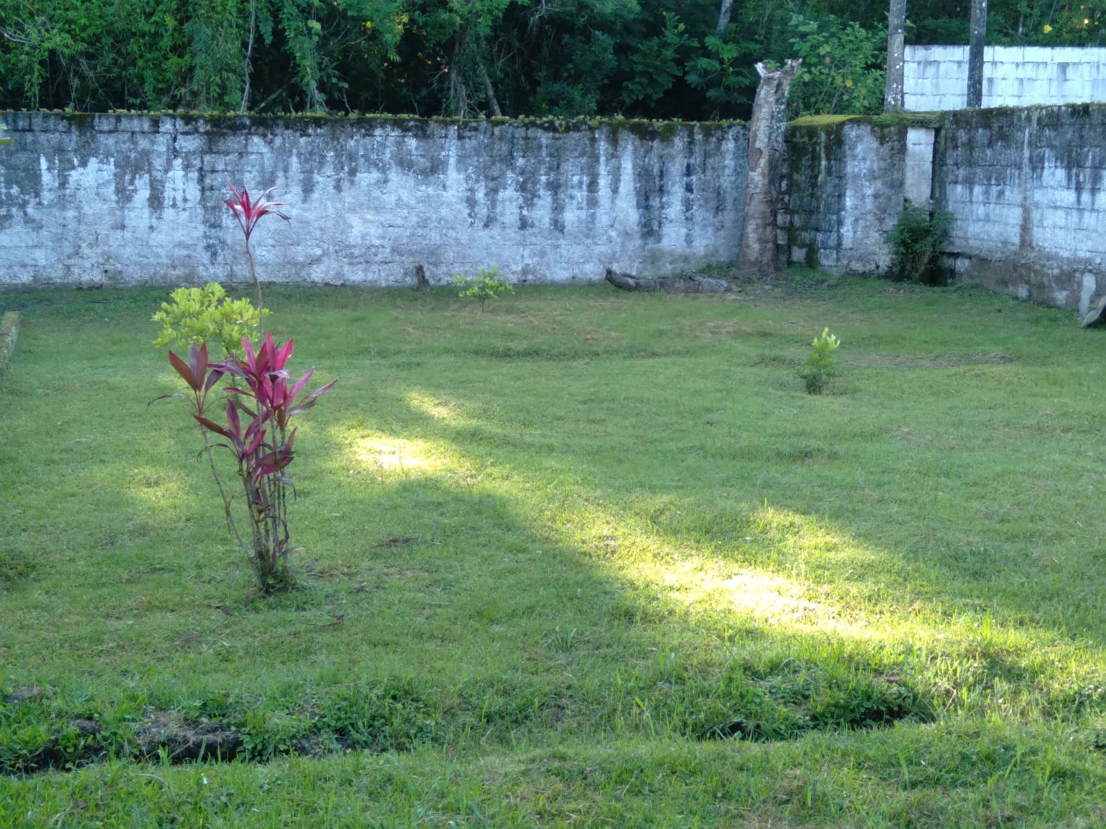 CHÁCARA NO JARDIM CORONEL - ITANHAÉM/SP - LADO SERRA - foto 5