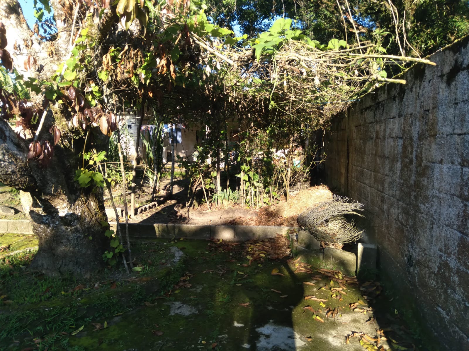 CHÁCARA NO JARDIM CORONEL - ITANHAÉM/SP - LADO SERRA - foto 14