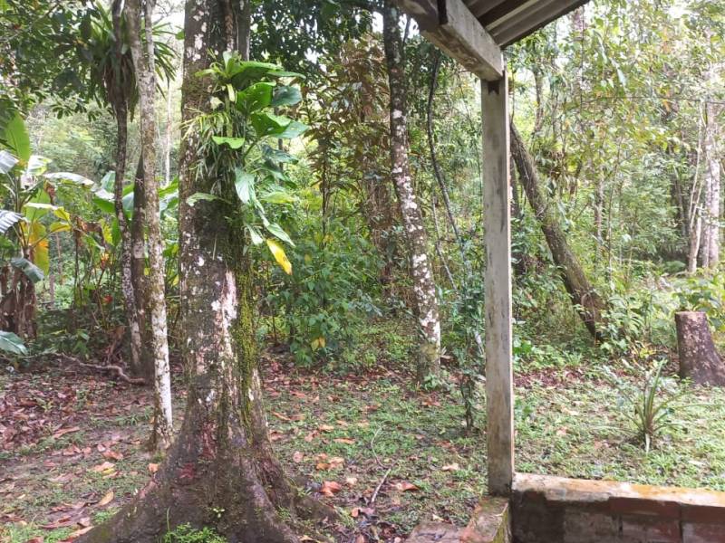 CHÁCARA NO JARDIM CORONEL - ITANHAÉM - LADO MORRO - foto 7