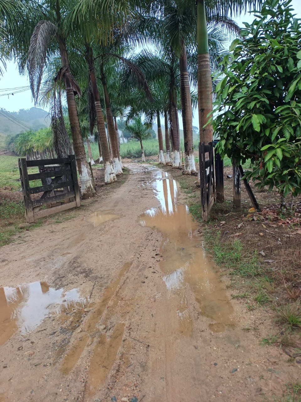 FAZENDA NA CIDADE DE SETE BARRAS - VALE DO RIBEIRA - 5KM DO ASFALTO