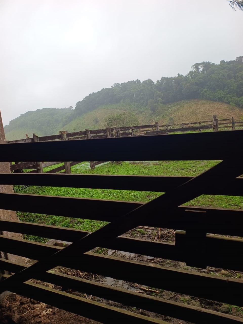 FAZENDA NA CIDADE DE SETE BARRAS - VALE DO RIBEIRA - 5KM DO ASFALTO - foto 6