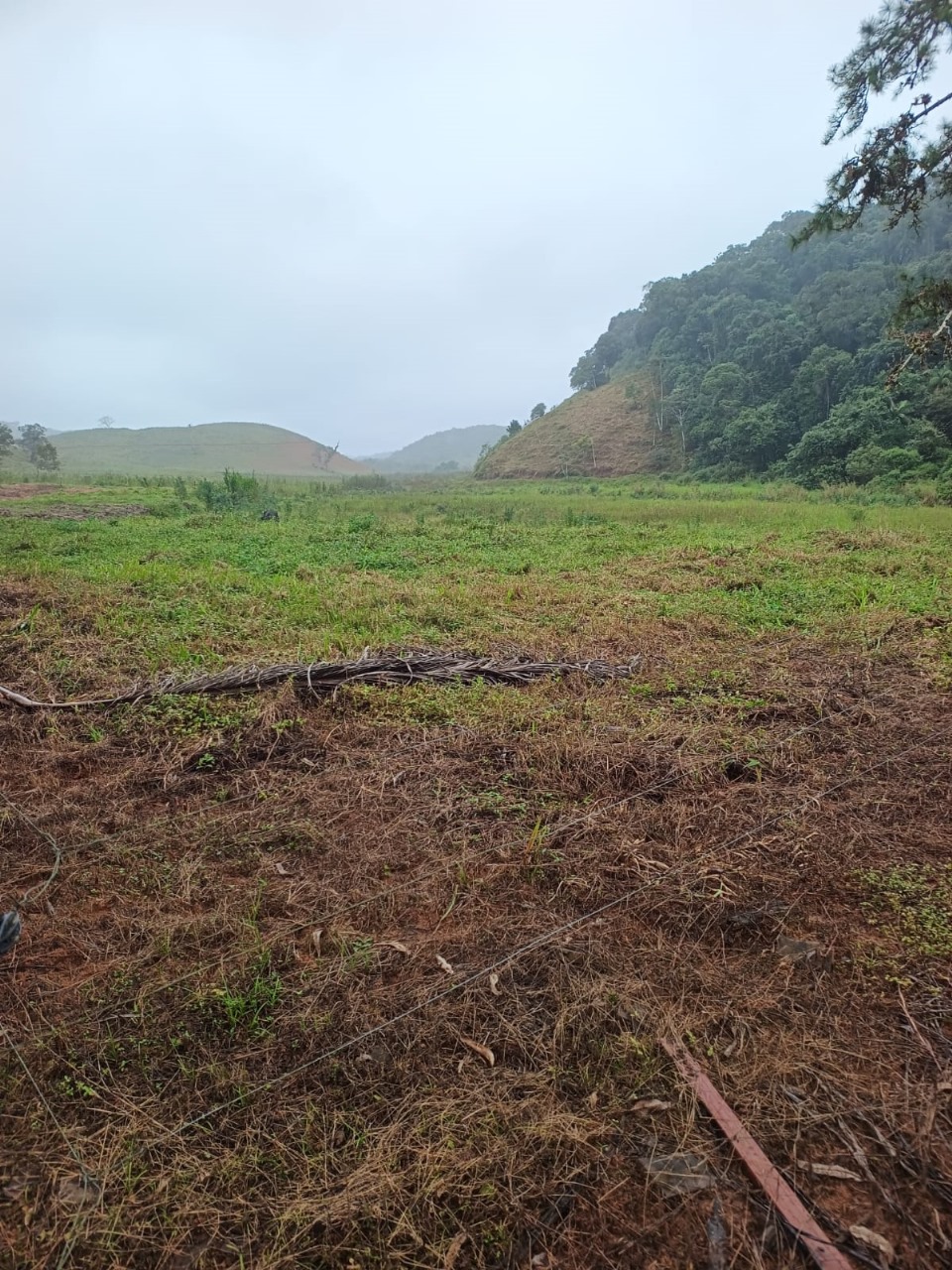 FAZENDA NA CIDADE DE SETE BARRAS - VALE DO RIBEIRA - 5KM DO ASFALTO - foto 15