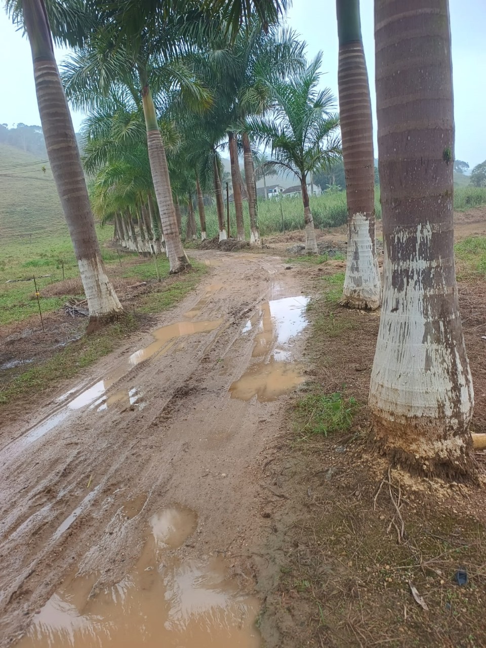FAZENDA NA CIDADE DE SETE BARRAS - VALE DO RIBEIRA - 5KM DO ASFALTO - foto 16