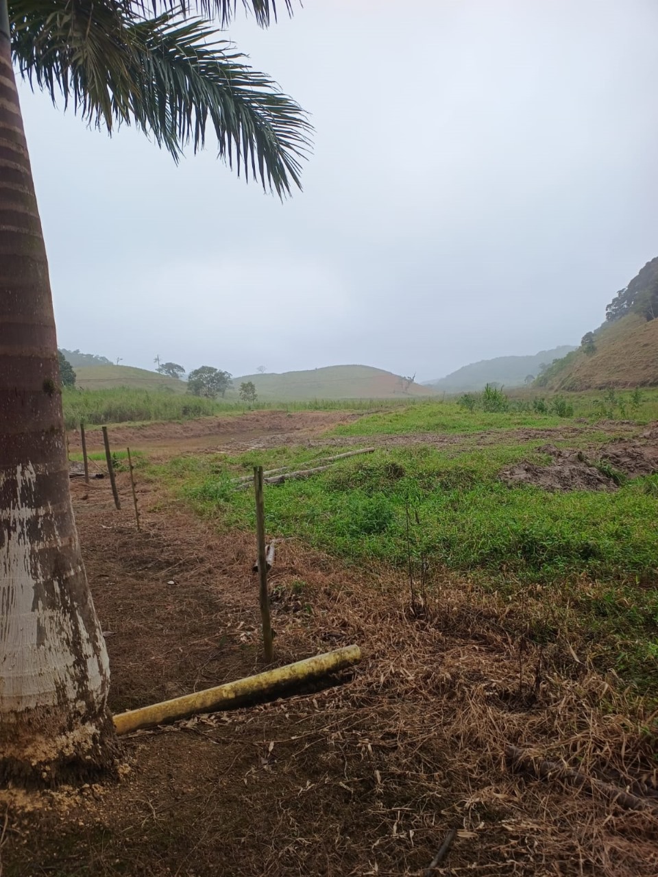 FAZENDA NA CIDADE DE SETE BARRAS - VALE DO RIBEIRA - 5KM DO ASFALTO - foto 20