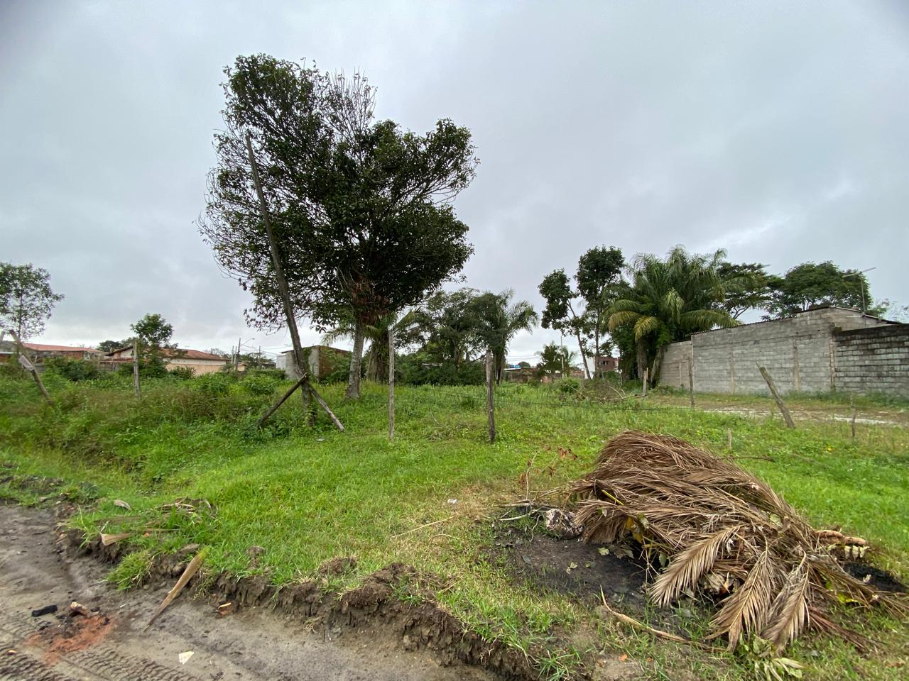 TERRENO COM LIBERAÇÃO AMBIENTAL - NO JD DAS PAMLEIRAS  - ITANHAÉM / SÃO PAULO - LADO PRAIA - 1.200 METROS DO MAR - foto 2