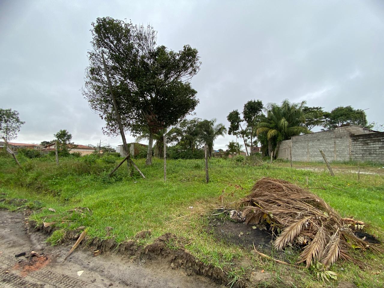 TERRENO COM LIBERAÇÃO AMBIENTAL - NO JD DAS PAMLEIRAS  - ITANHAÉM / SÃO PAULO - LADO PRAIA - 1.200 METROS DO MAR - foto 3