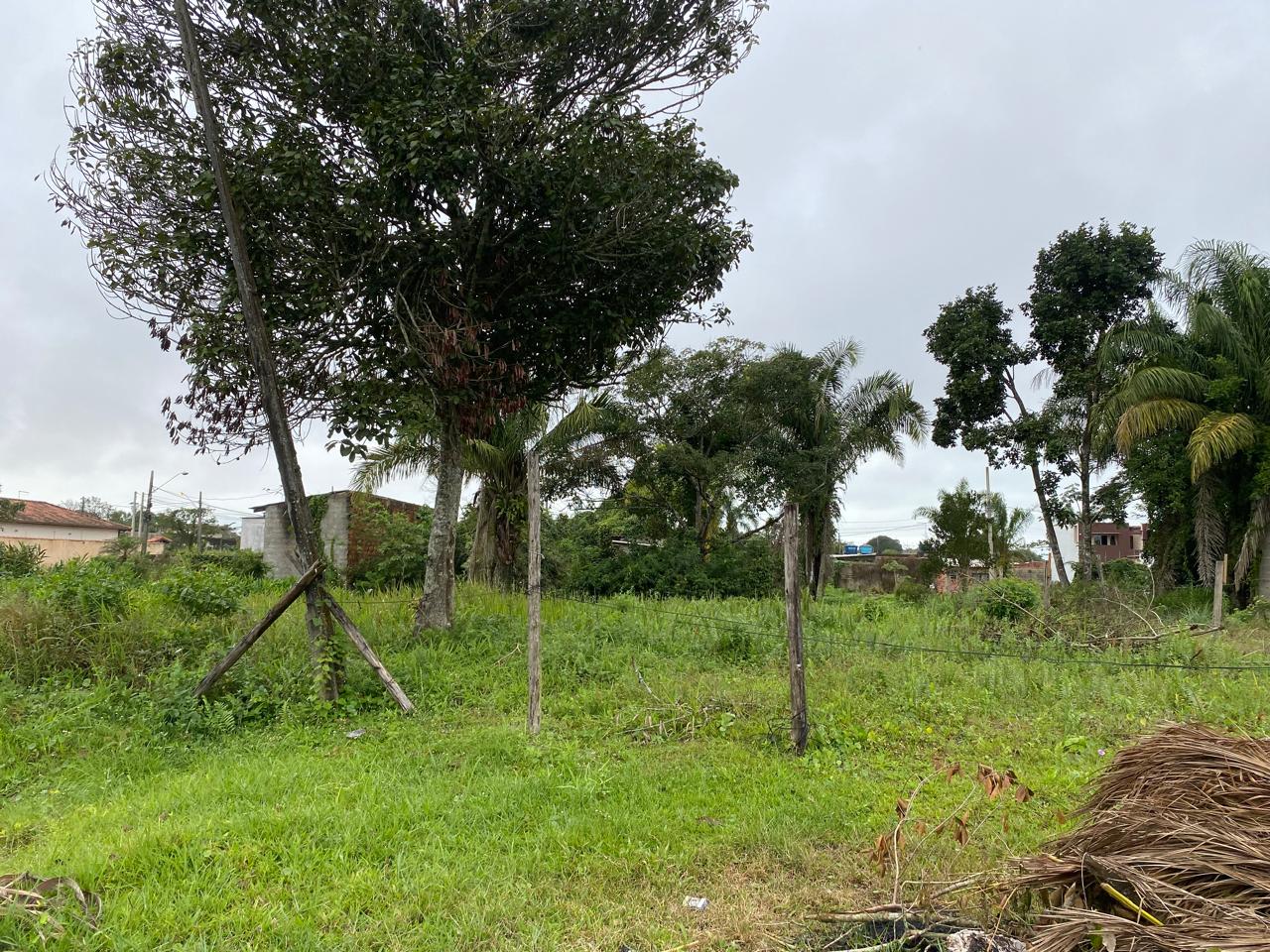 TERRENO COM LIBERAÇÃO AMBIENTAL - NO JD DAS PAMLEIRAS  - ITANHAÉM / SÃO PAULO - LADO PRAIA - 1.200 METROS DO MAR - foto 5