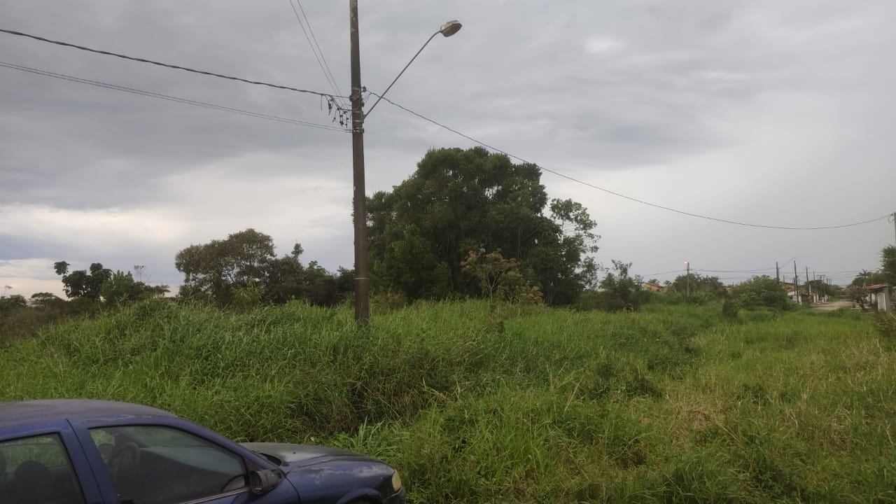 TERRENO COM LIBERAÇÃO AMBIENTAL NO BAIRRO CIBRATEL 2 - ITANHAÉM / SÃO PAULO - LADO PRAIA - 800 METROS DO MAR - foto 4