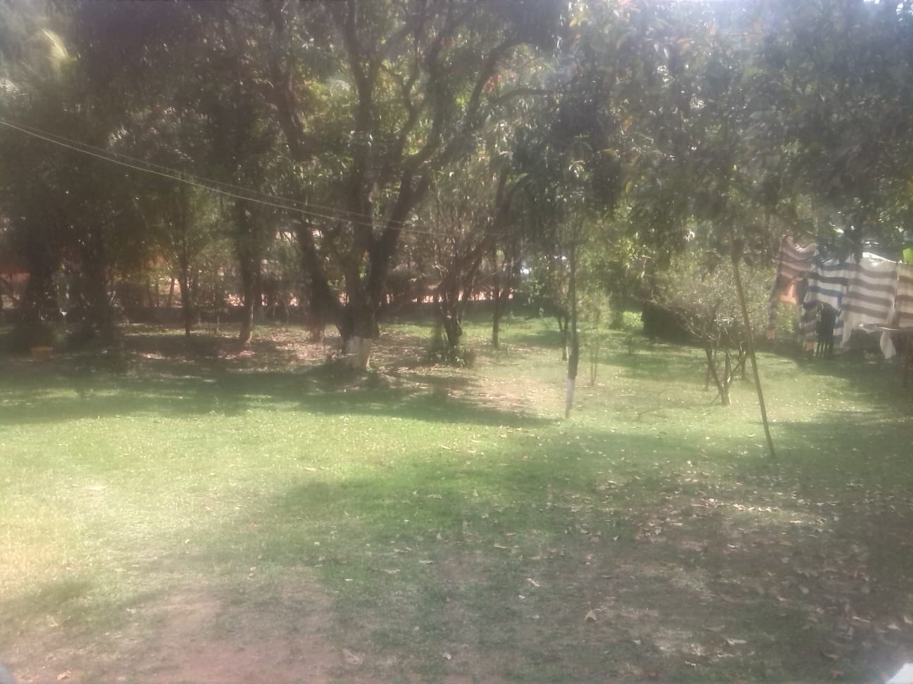 CHÁCARA NO BAIRRO SANTA ELLA - ARAÇARIGUAMA / SÃO PAULO - foto 3