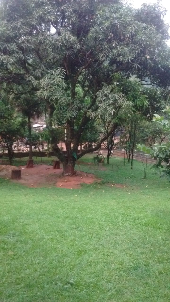 CHÁCARA NO BAIRRO SANTA ELLA - ARAÇARIGUAMA / SÃO PAULO - foto 7